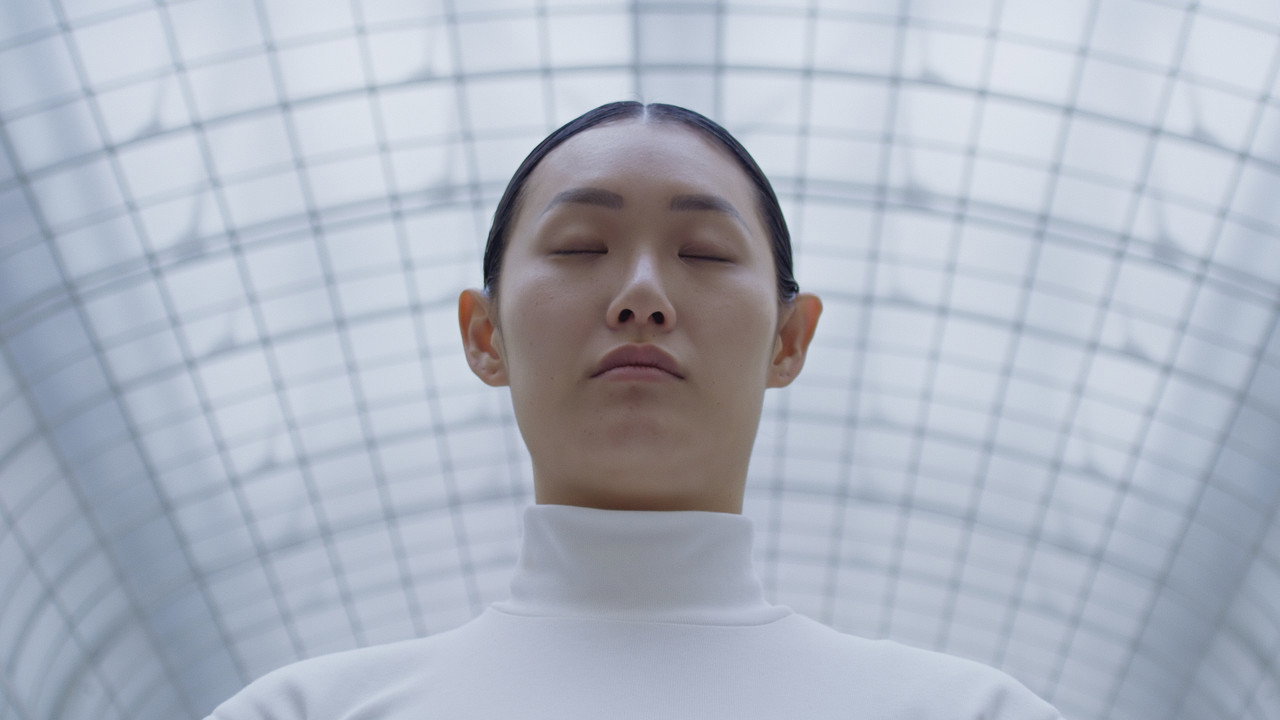 Memory of a Mycelium