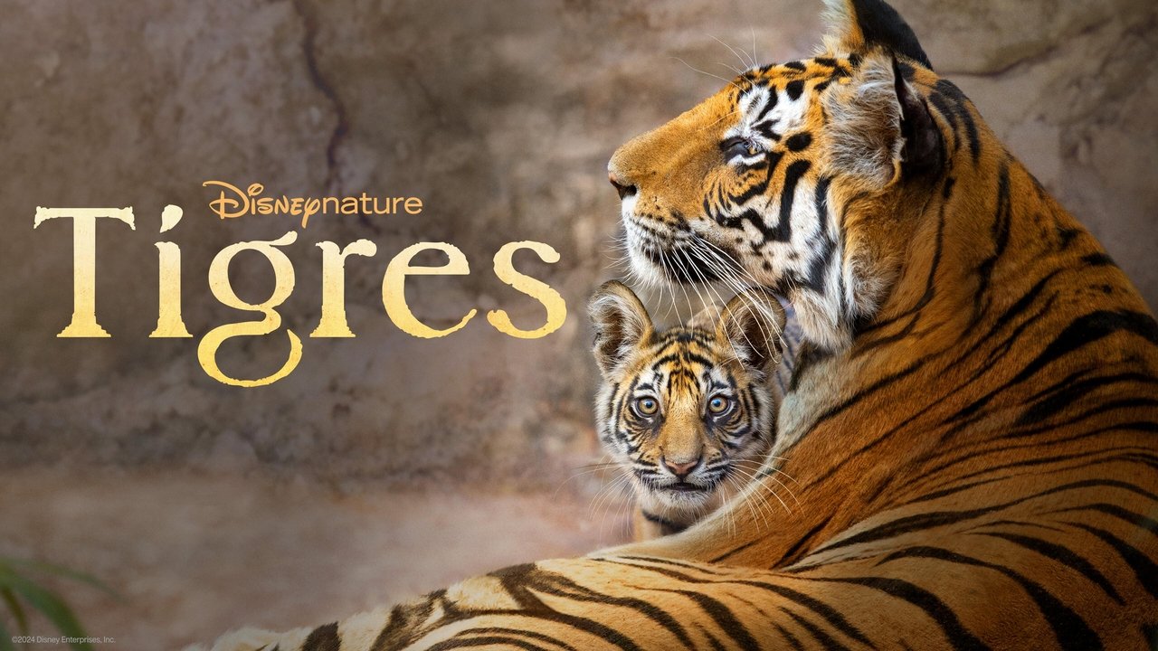 title image