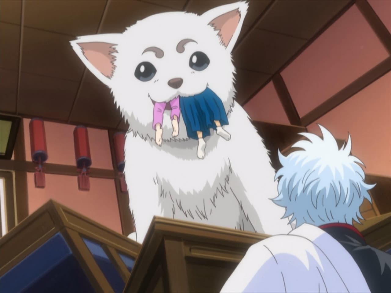 Gintama - Season 1 Episode 45 : Walk Your Dog at an Appropriate Speed