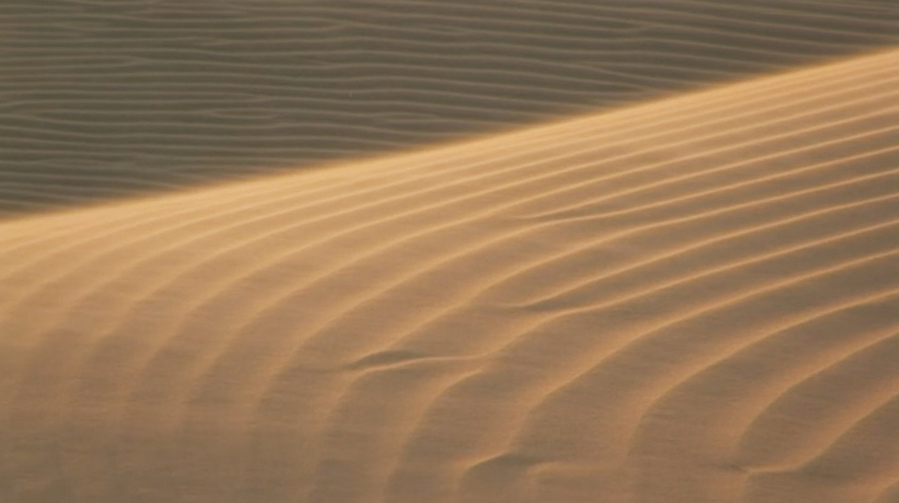 Still from Wings & Waterlines