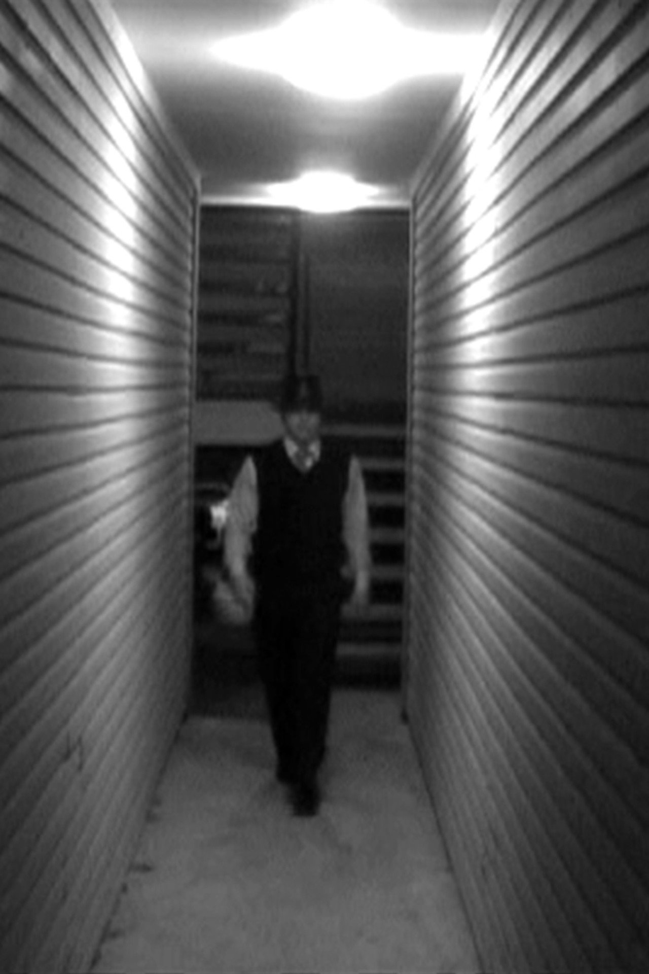 A Walking Shadow filmaffisch