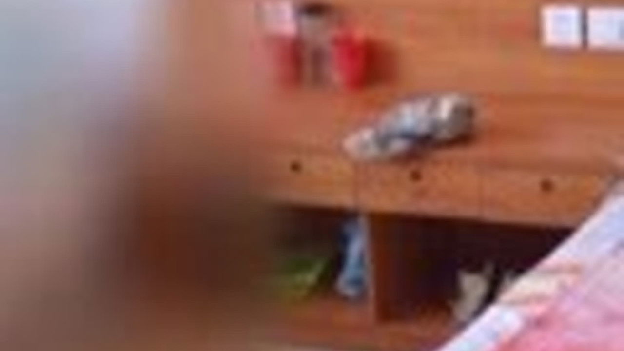 传奇故事 — Épisode 73