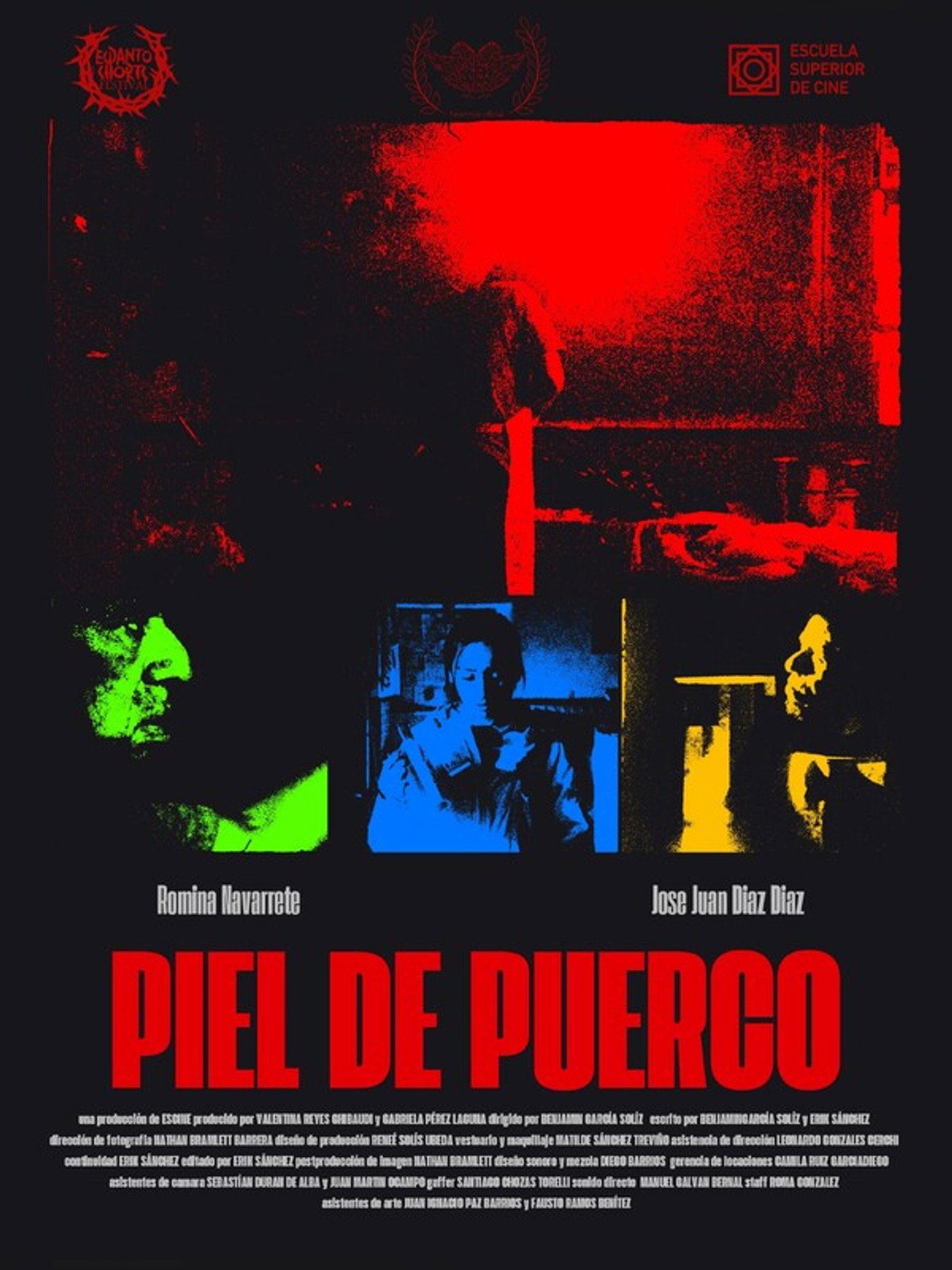 Piel de puerco