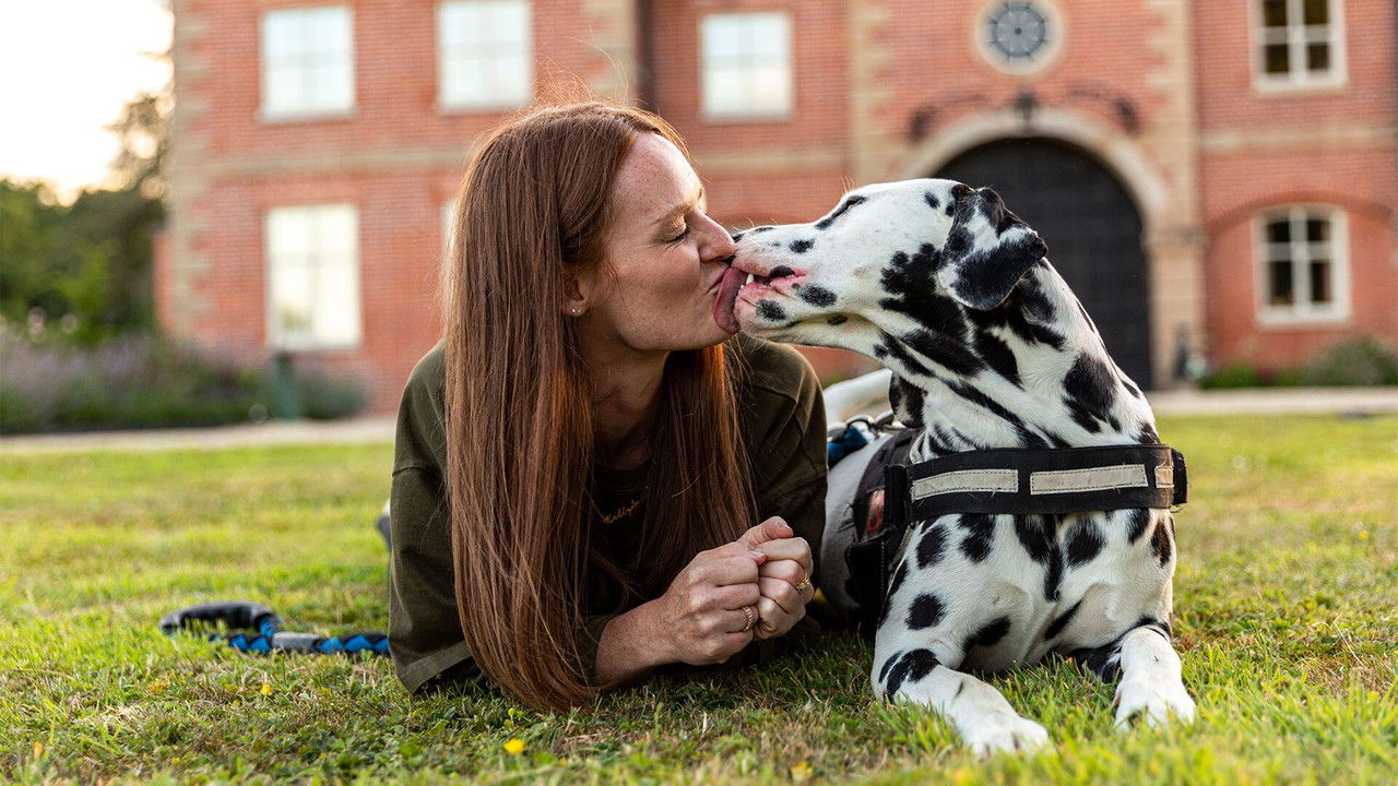 Bad Dog Academy - Season 1 Episode 2 : Episode 2