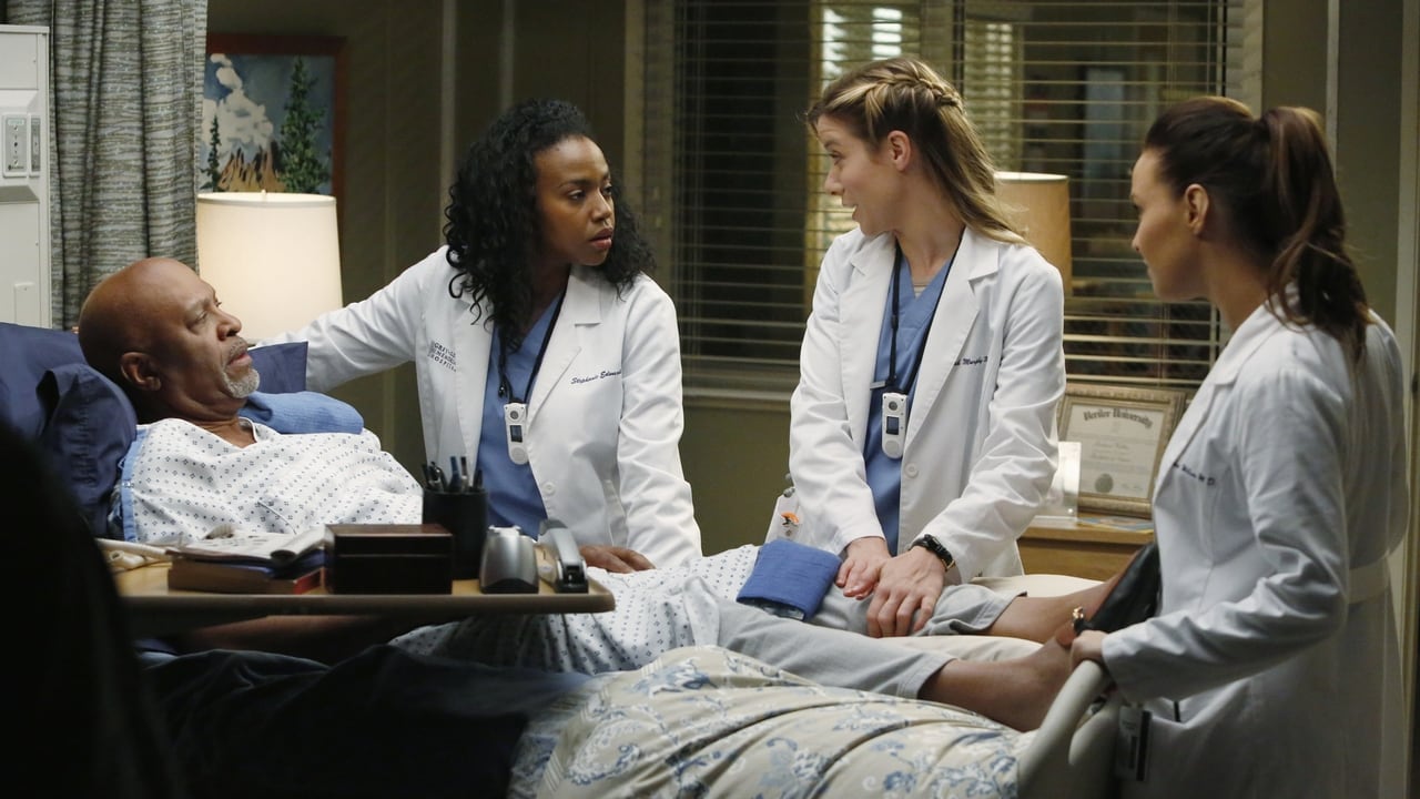 Grey's Anatomy - Season 10 Episode 10 : Somebody That I Used To Know