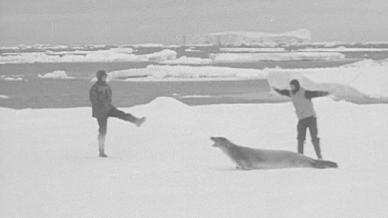 Antarctica 1948