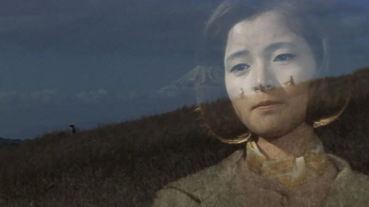 Let's Have A Dream Backdrop