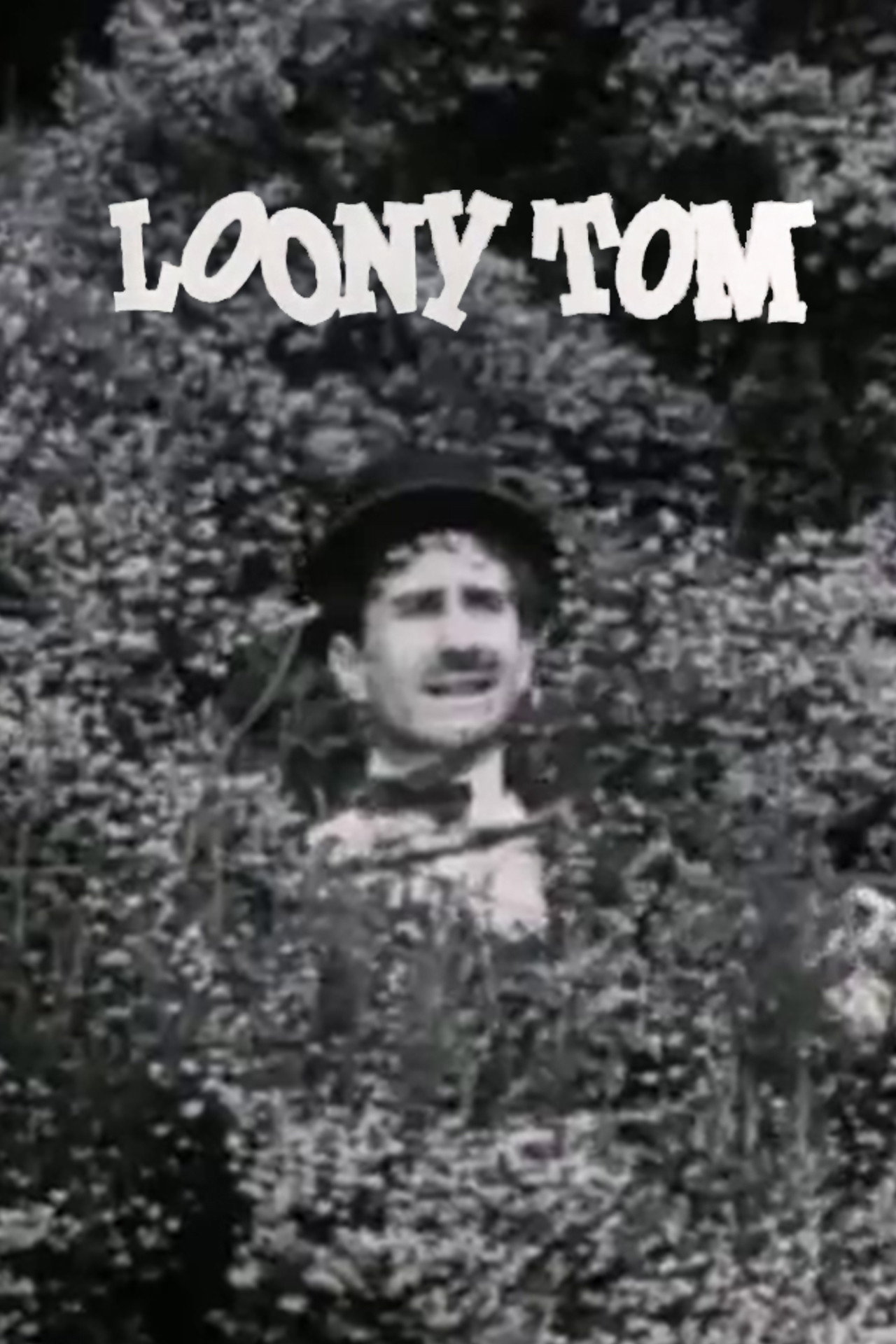 Loony Tom the Happy Lover filmaffisch