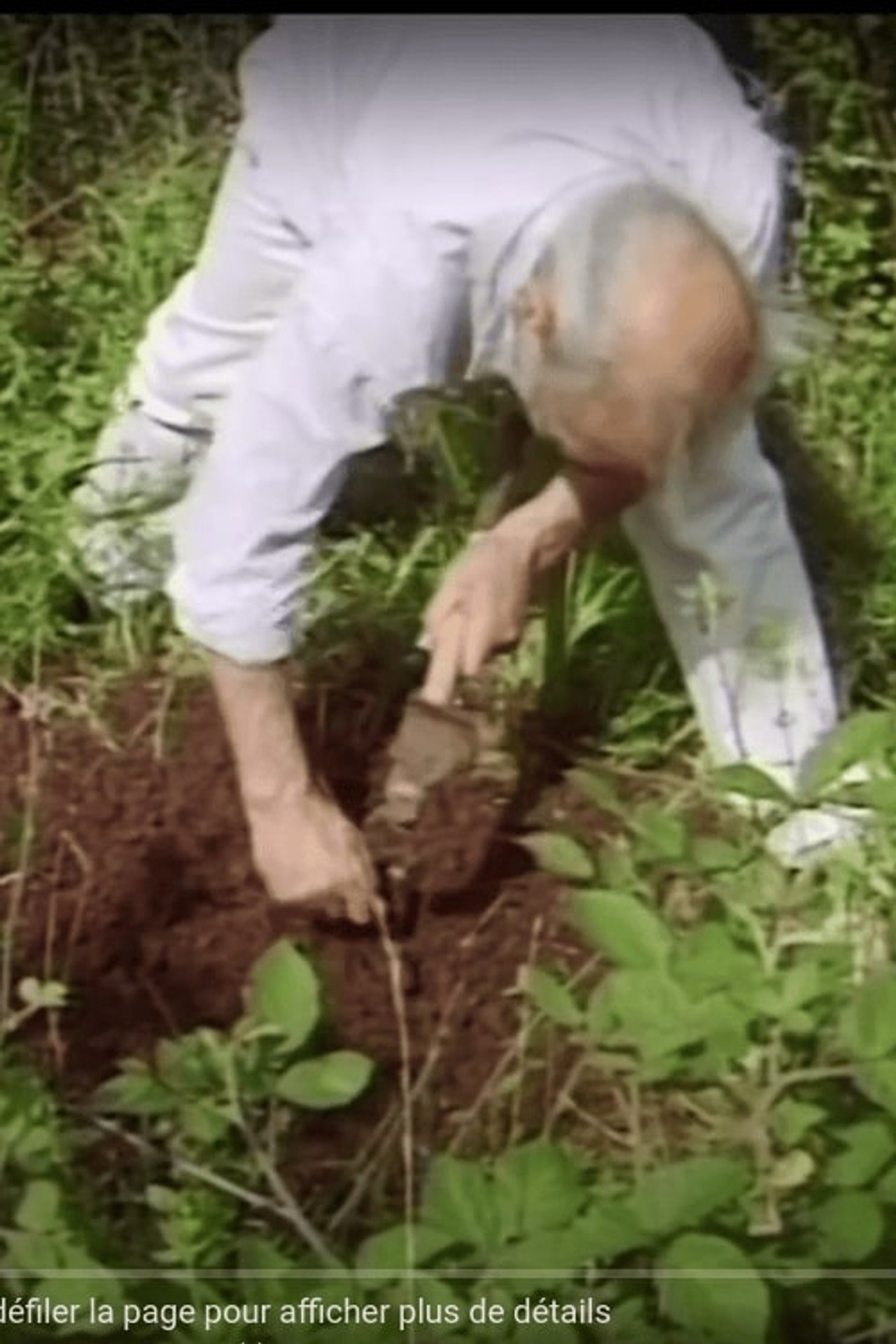 Et voilà le travail filmaffisch