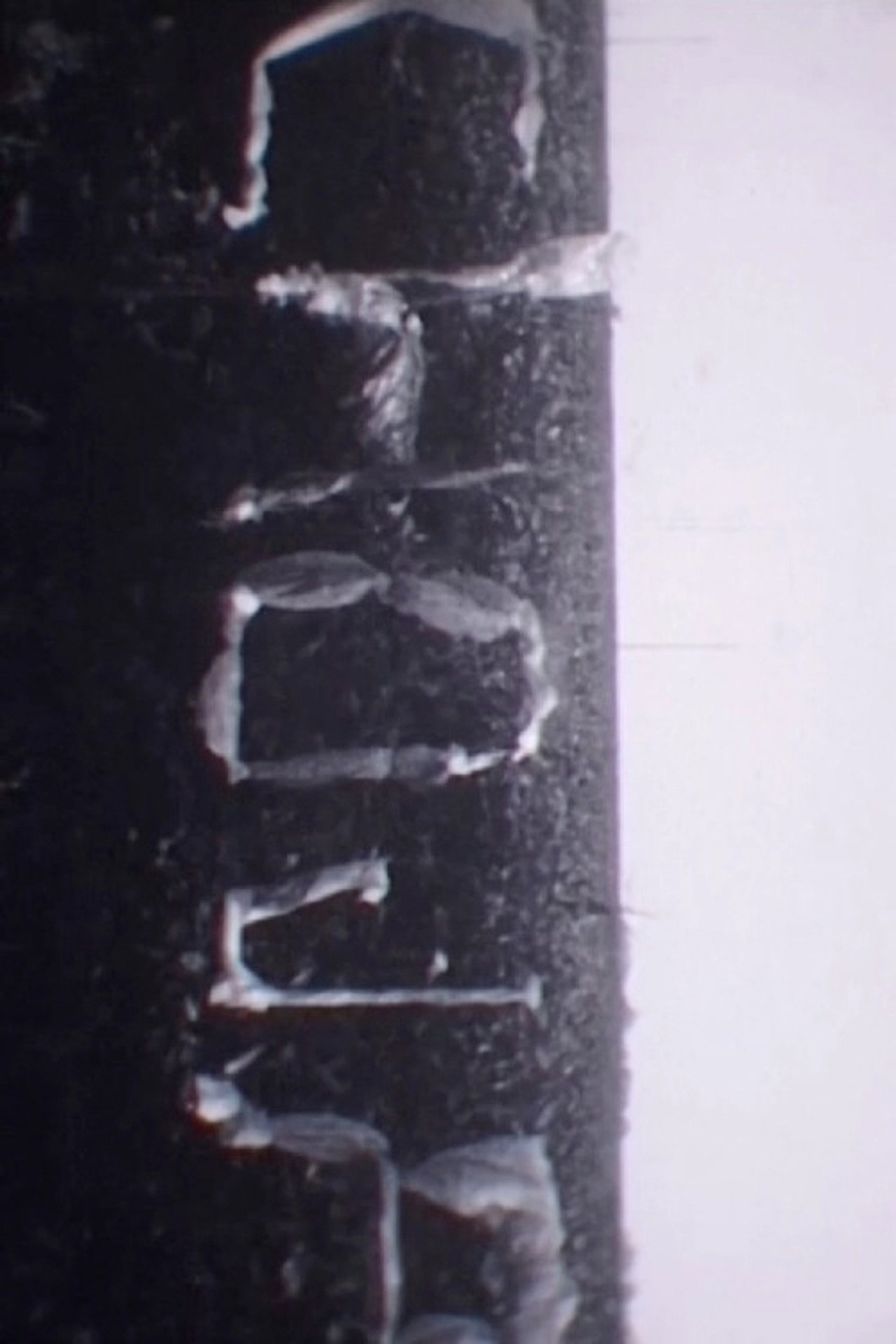 Chøja Backdrop