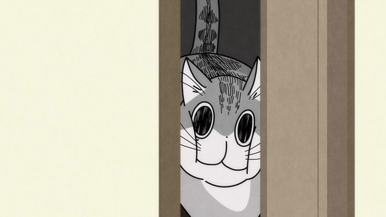 Night 17: Cats Can Pass Through If Their Heads Pass Through