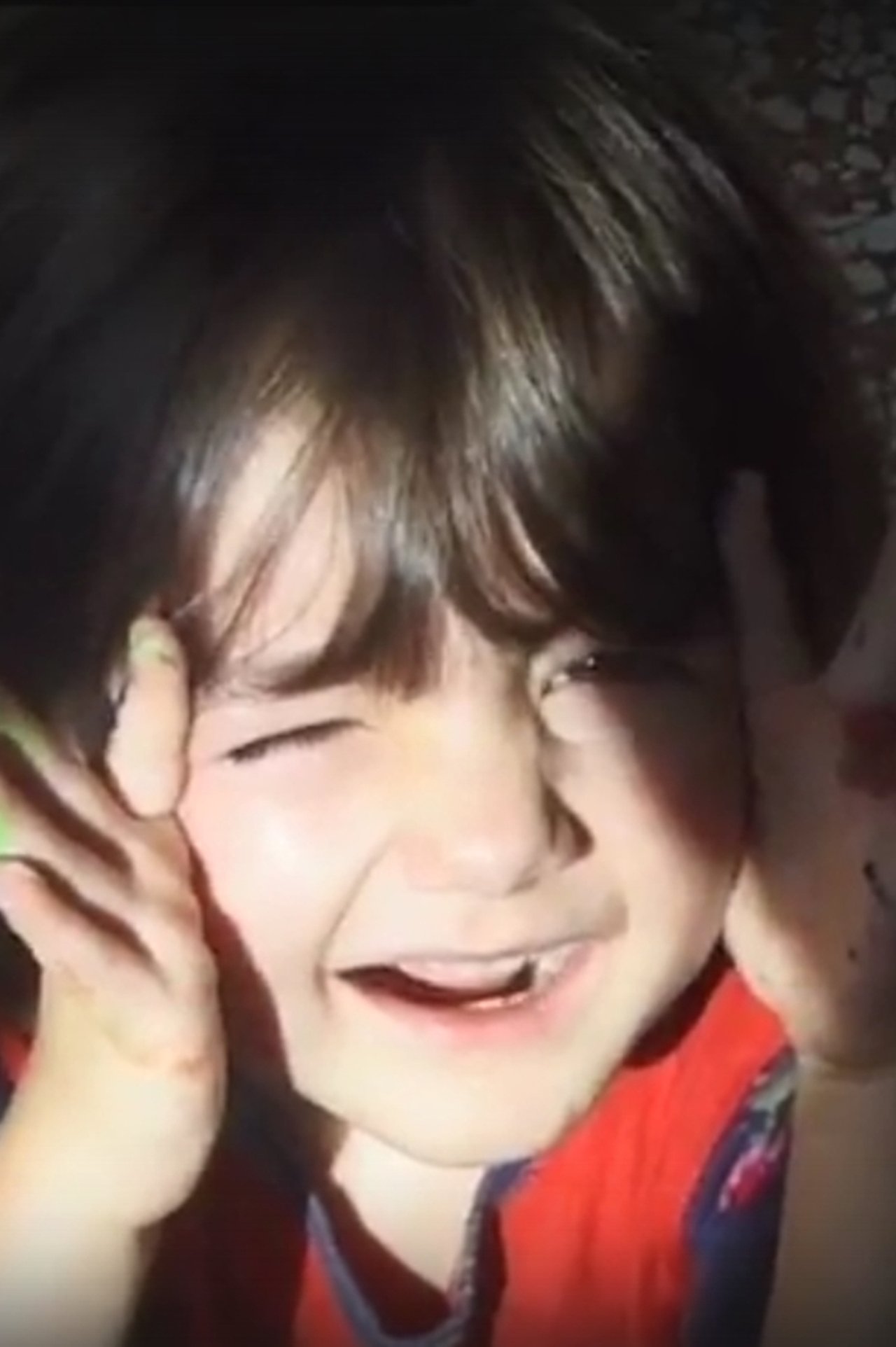 Lo zebù e la stella