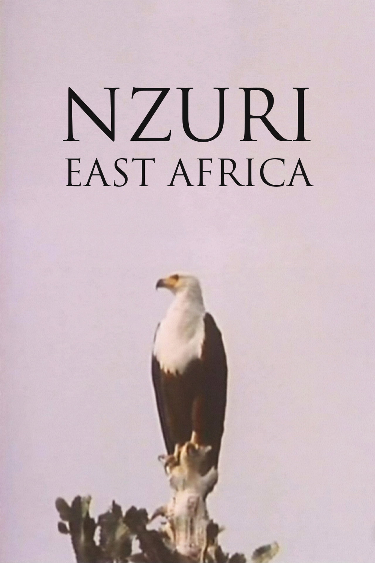 Nzuri: East Africa filmaffisch