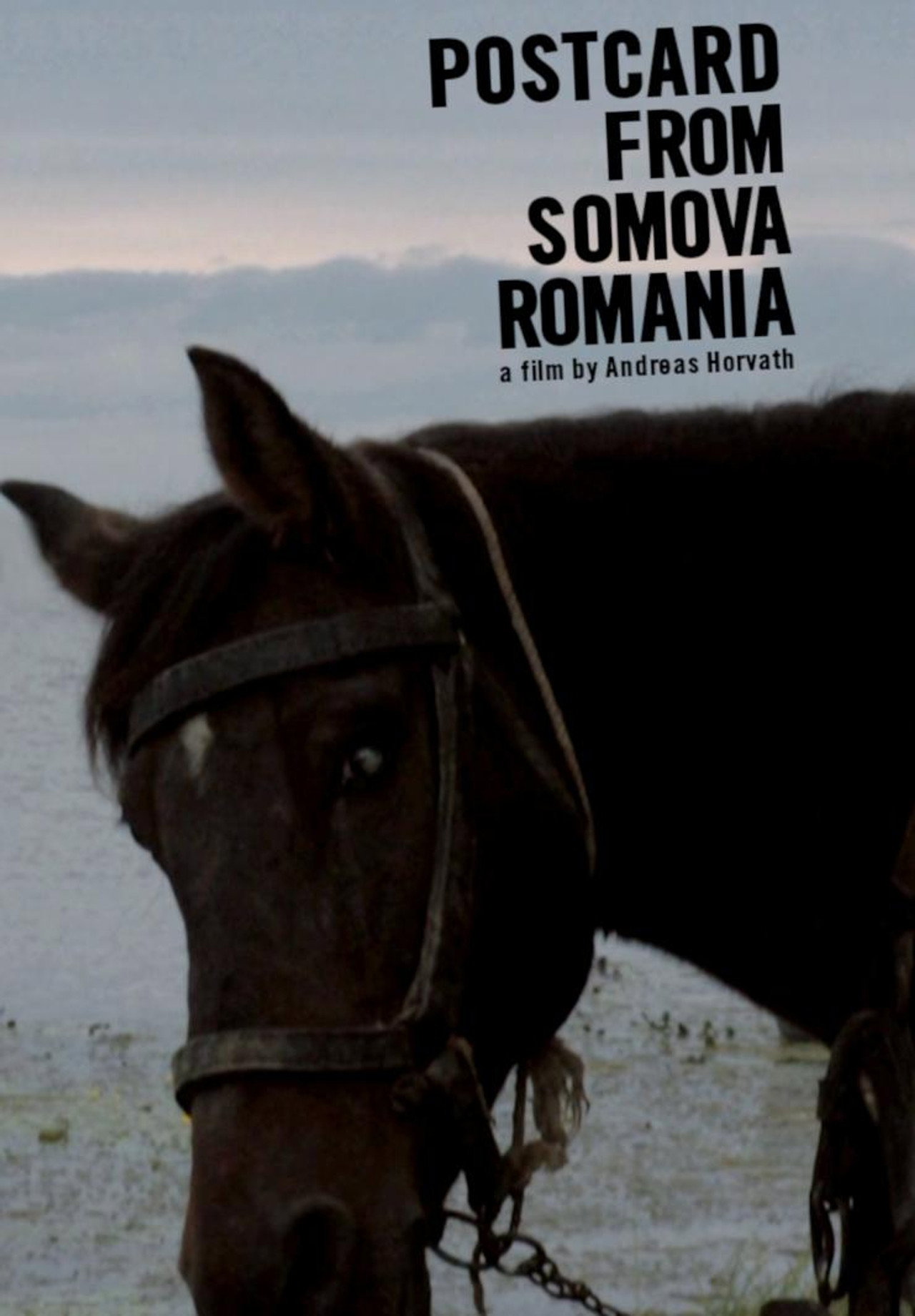 Postcard from Somova, Romania filmaffisch