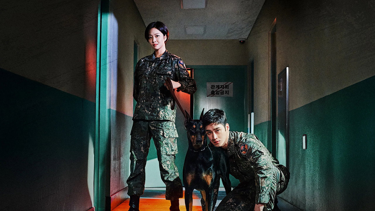 Military Prosecutor Doberman (2022) trailer