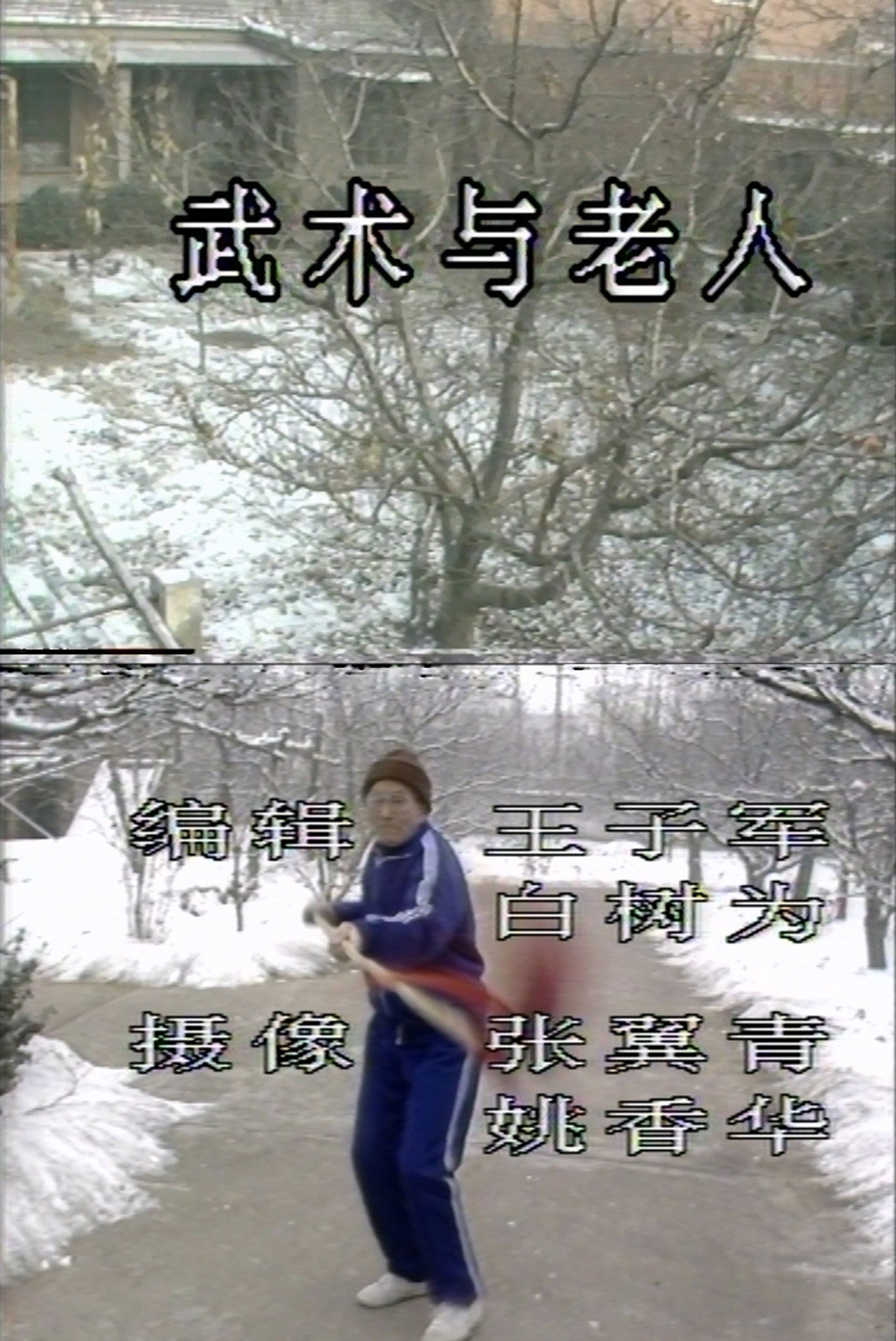 武术与老人 filmaffisch