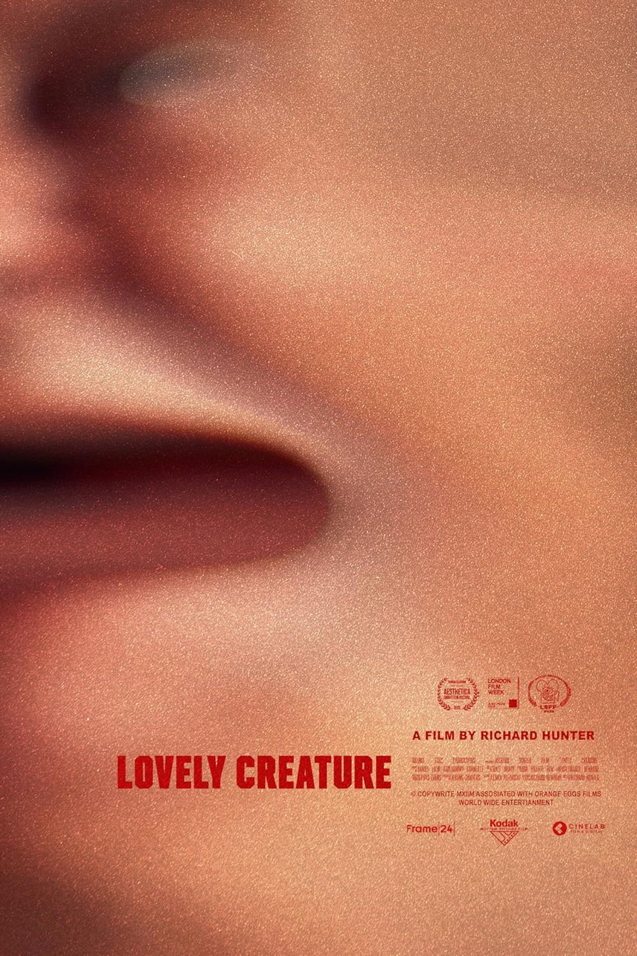 Lovely Creature filmaffisch