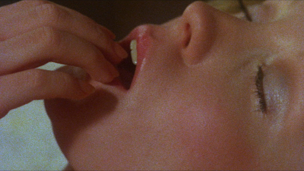 Memories Within Miss Aggie backdrop