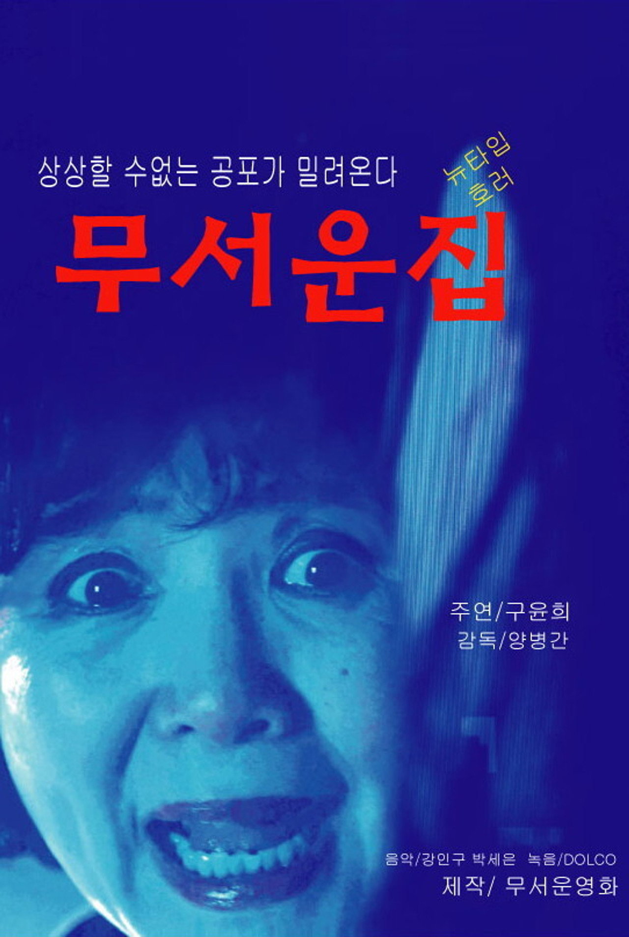 무서운 집 filmaffisch