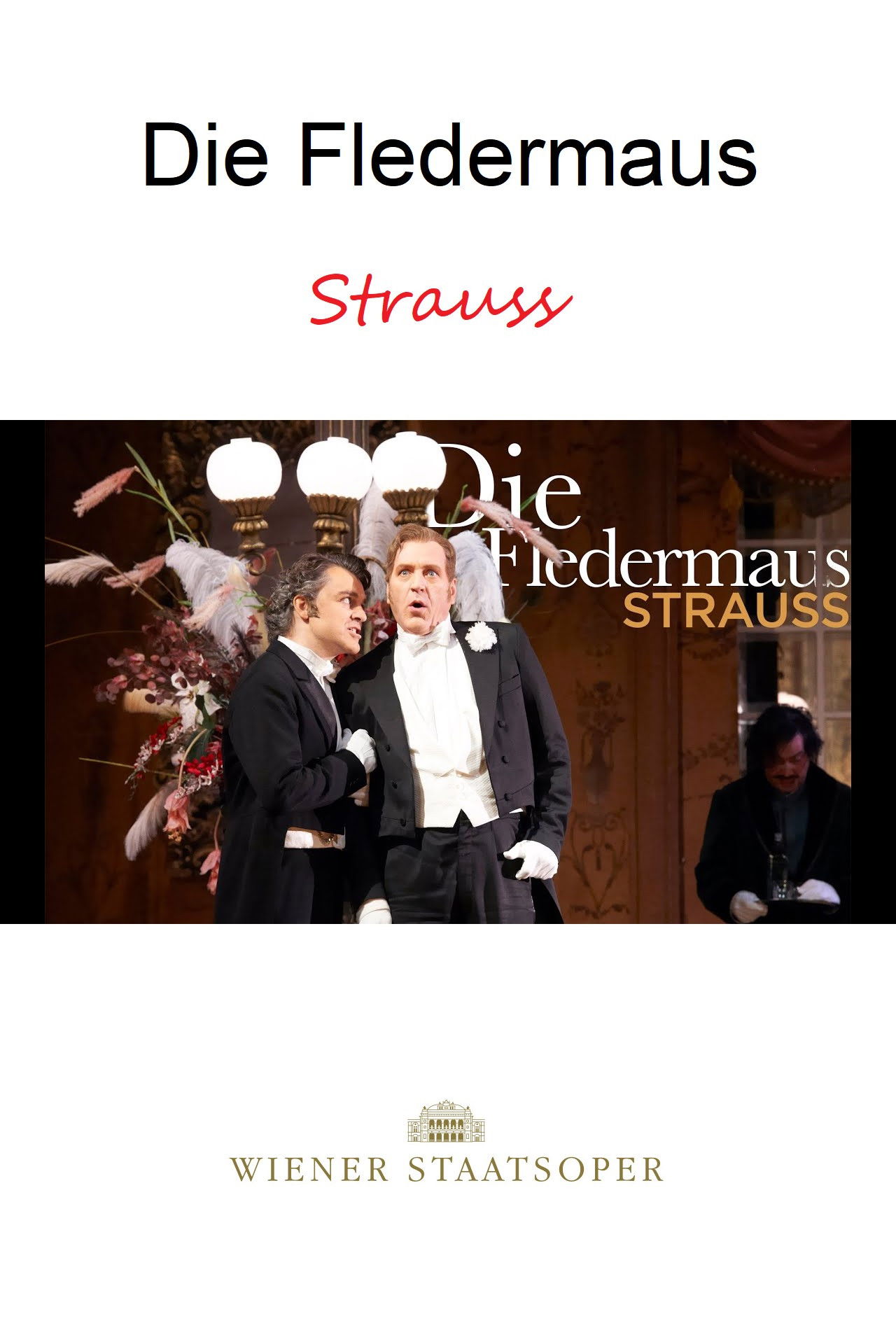 Die Fledermaus - WIENER STAATSOPER Backdrop