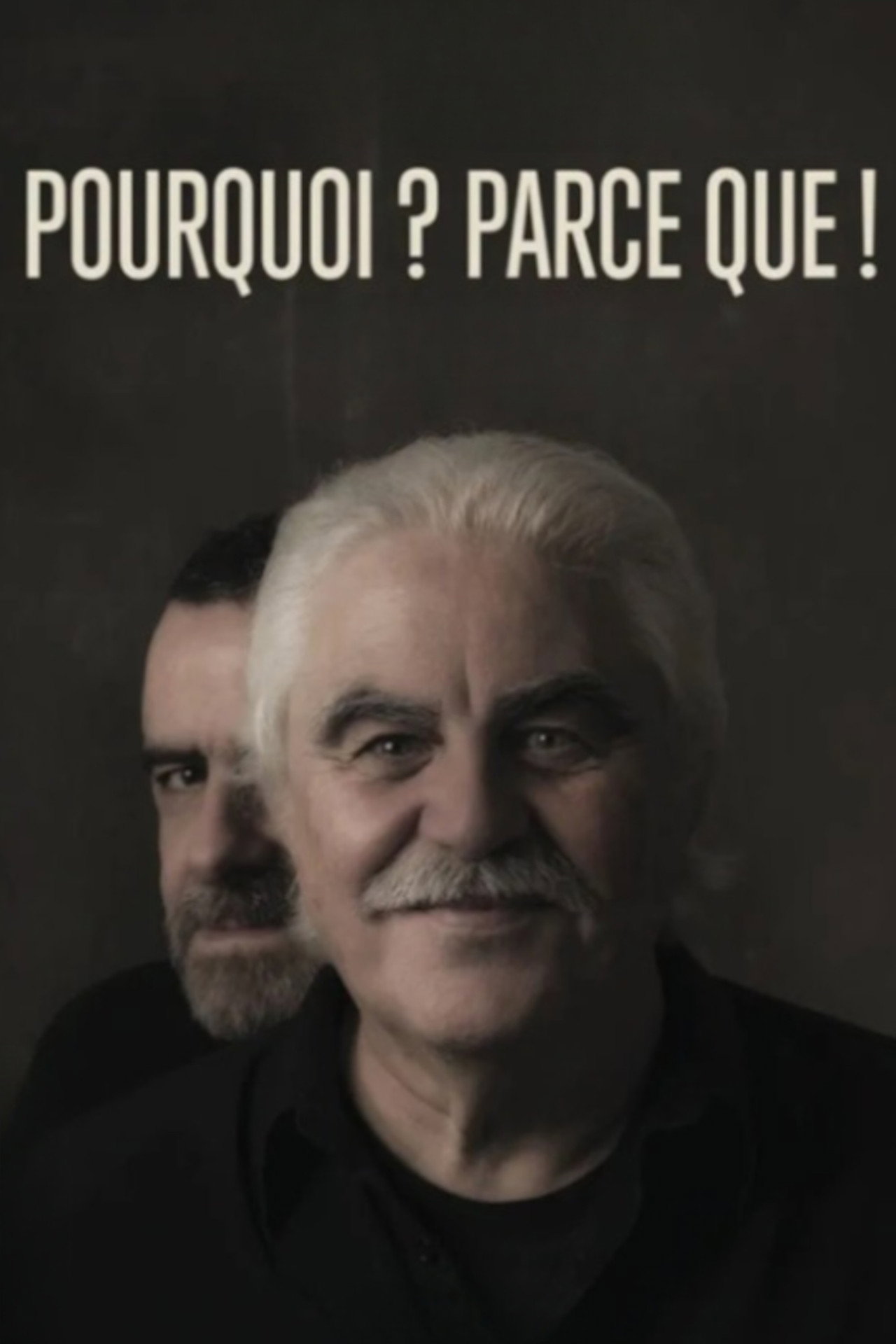 Pourquoi ? Parce que ! filmaffisch