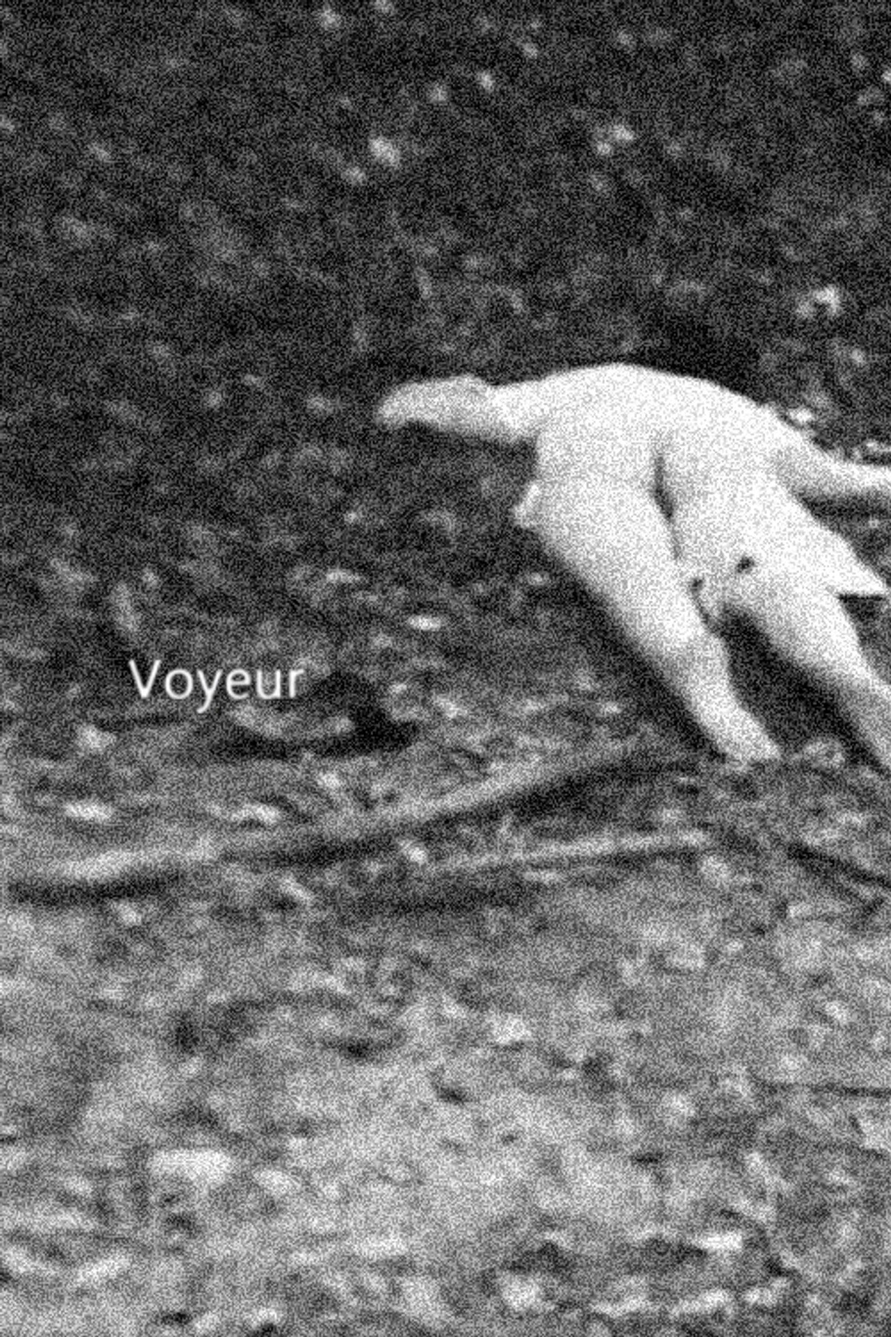 Voyeur filmaffisch
