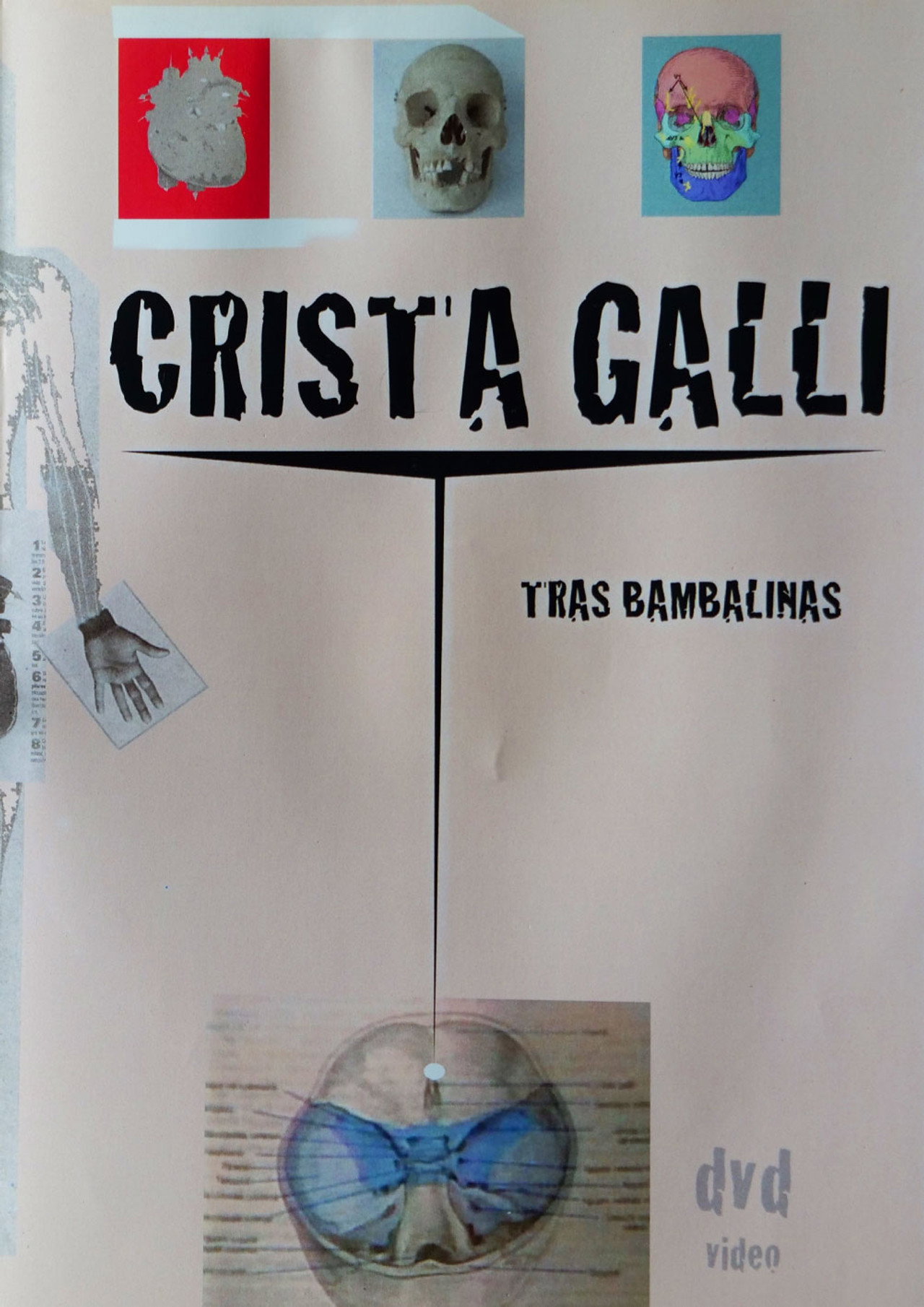 Crista Galli: Tras Bambalinas Backdrop