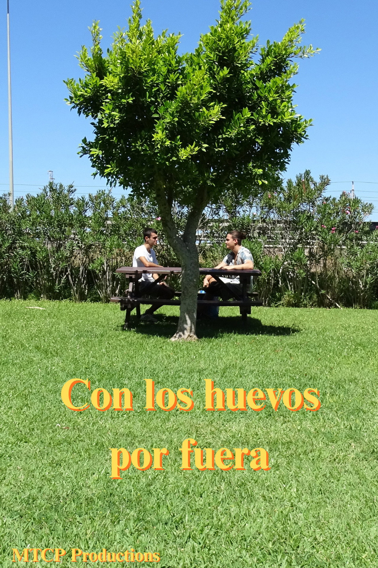 Con los huevos por fuera poster