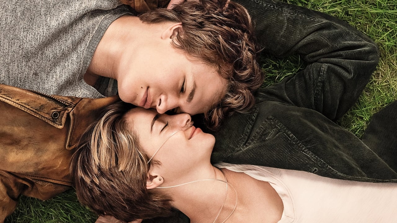 The Fault in Our Stars Backdrop Image