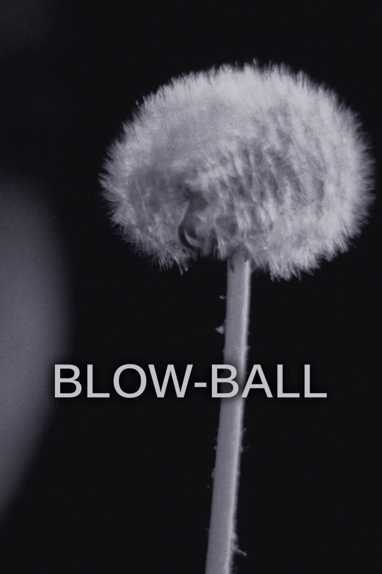 مشاهدة فيلم Blow-Ball مترجم بدون اعلانات - بوستر