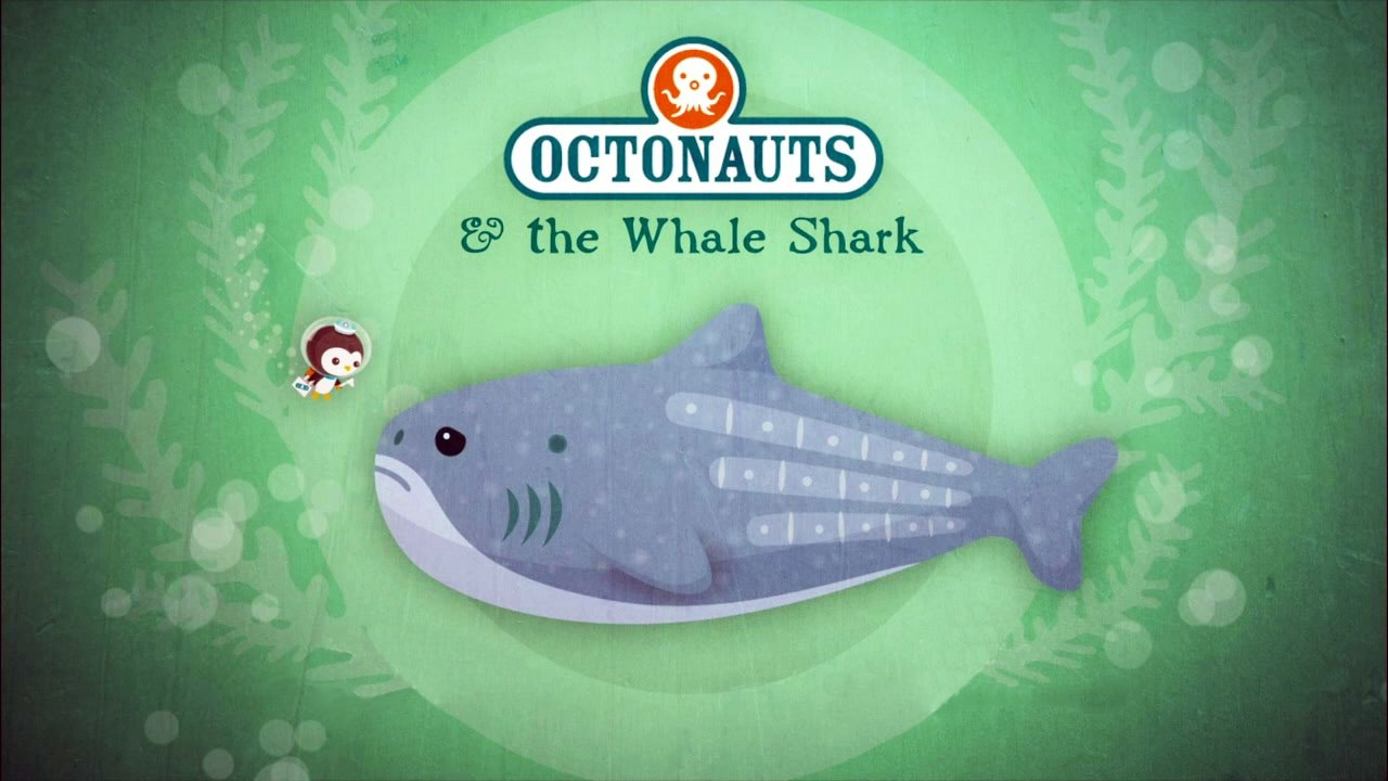 The Whale Shark