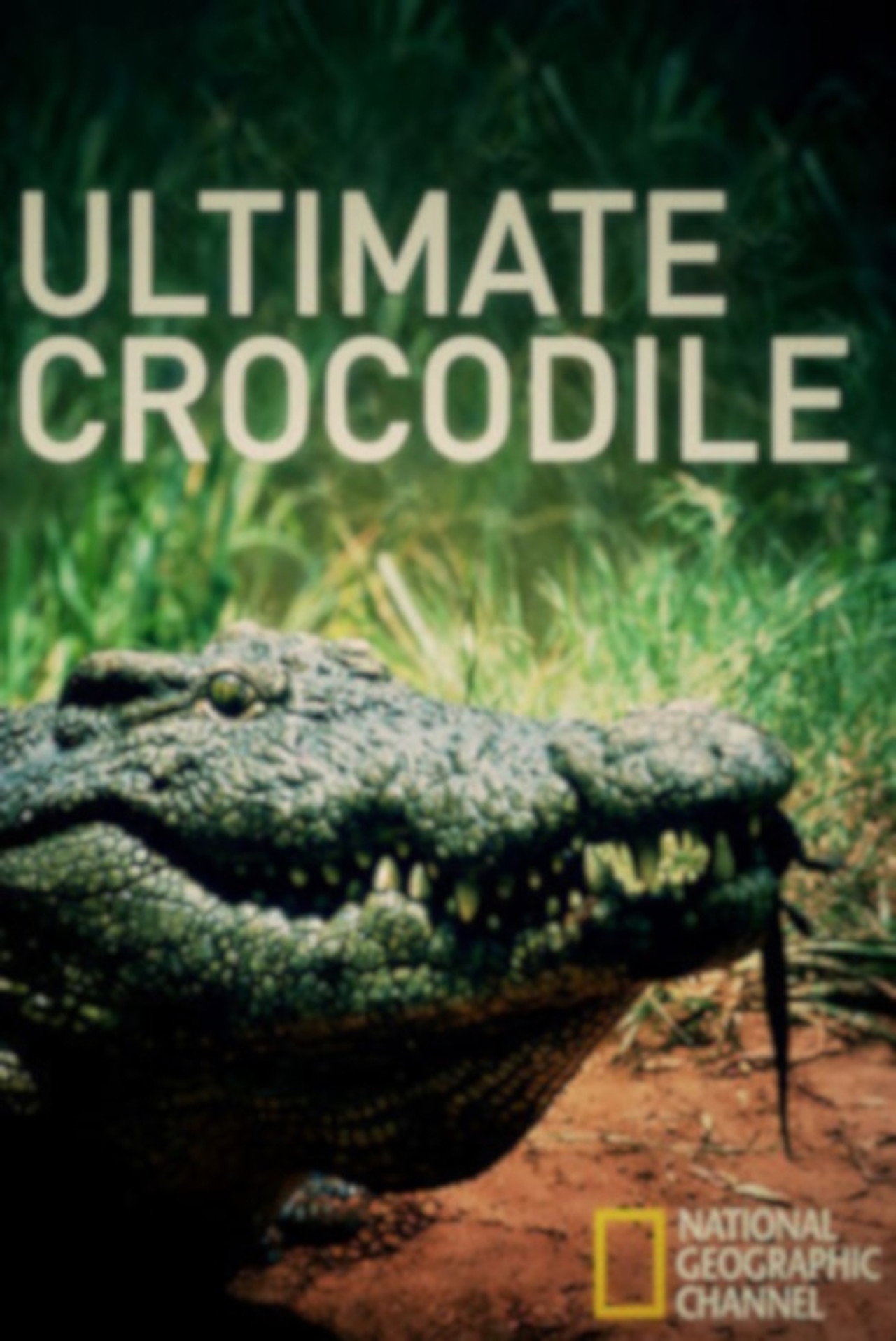 The Ultimate Crocodile filmaffisch
