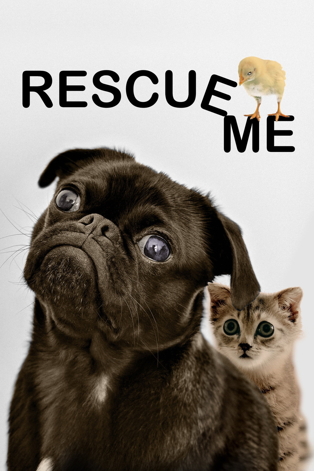 Rescue Me filmaffisch