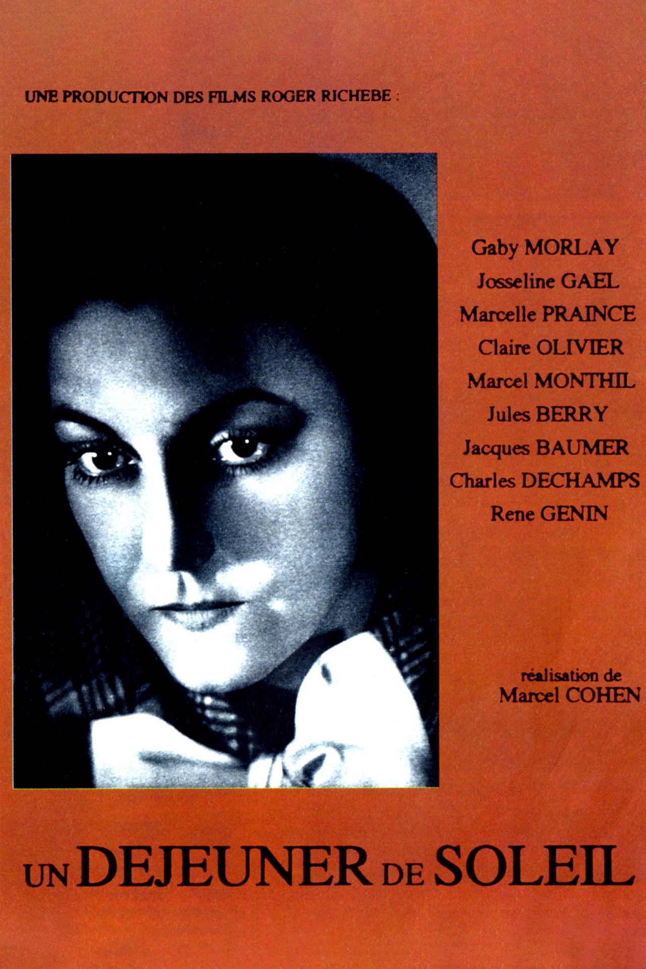 A Picnic on the Grass Backdrop