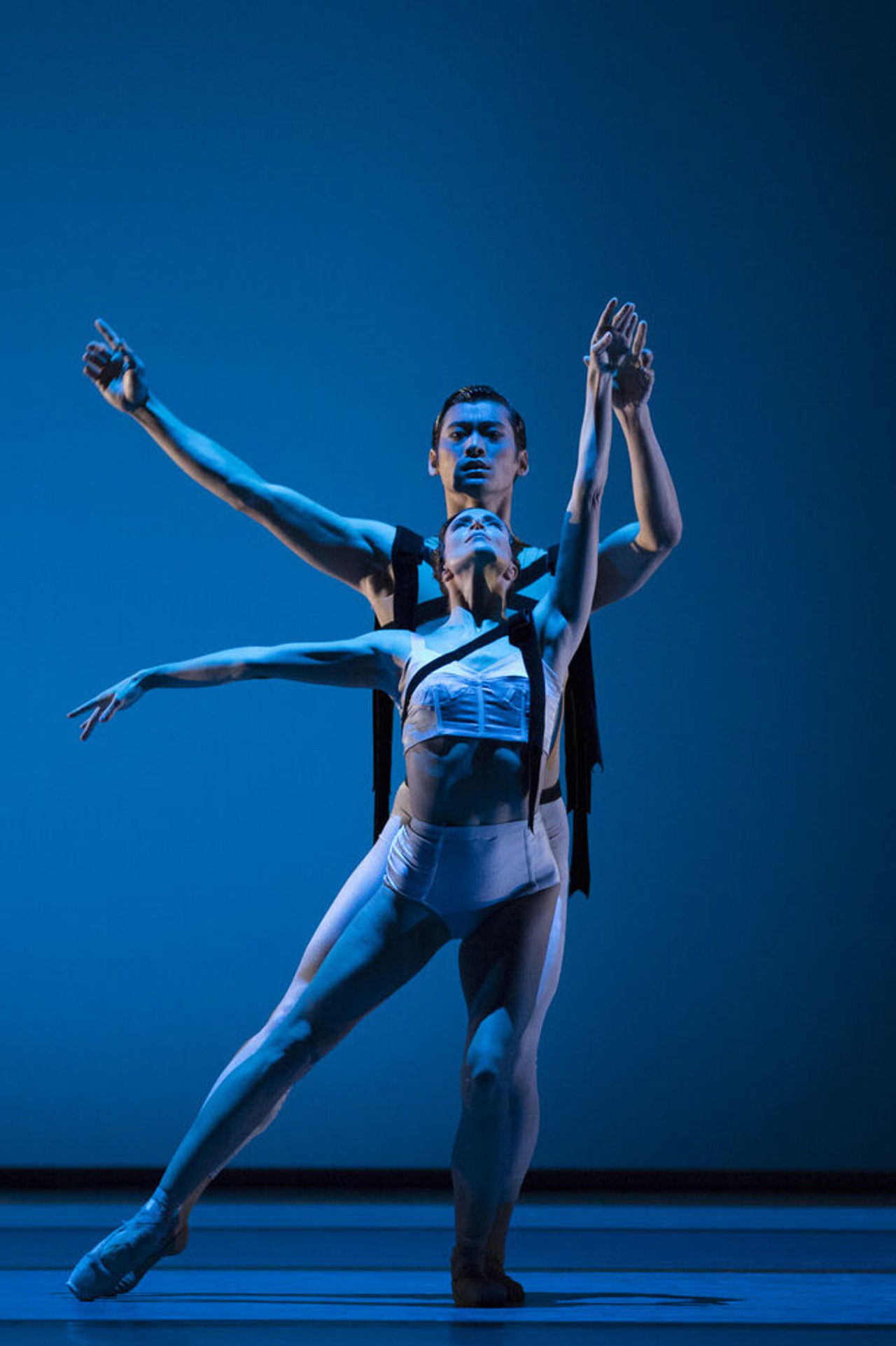 Corybantic Games Backdrop