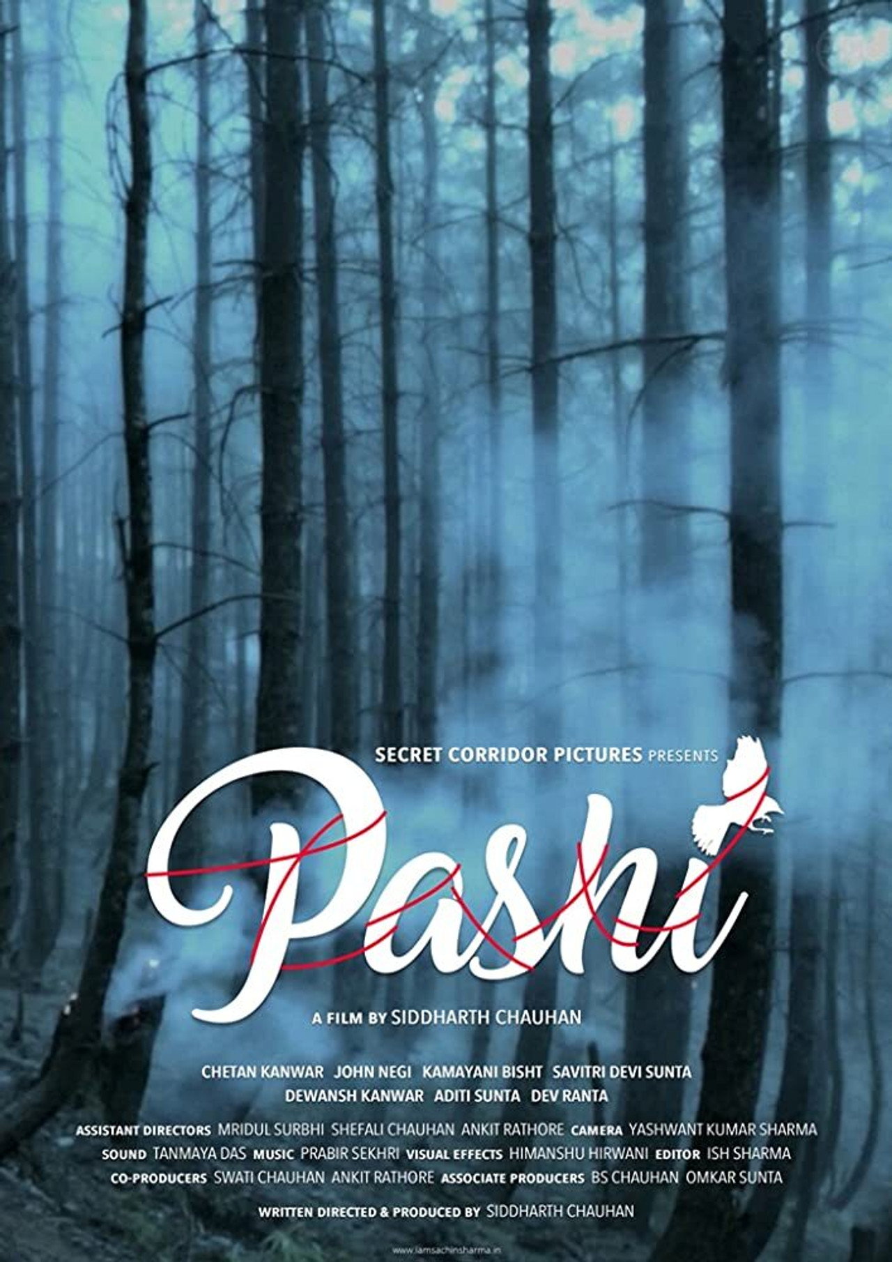 Pashi filmaffisch