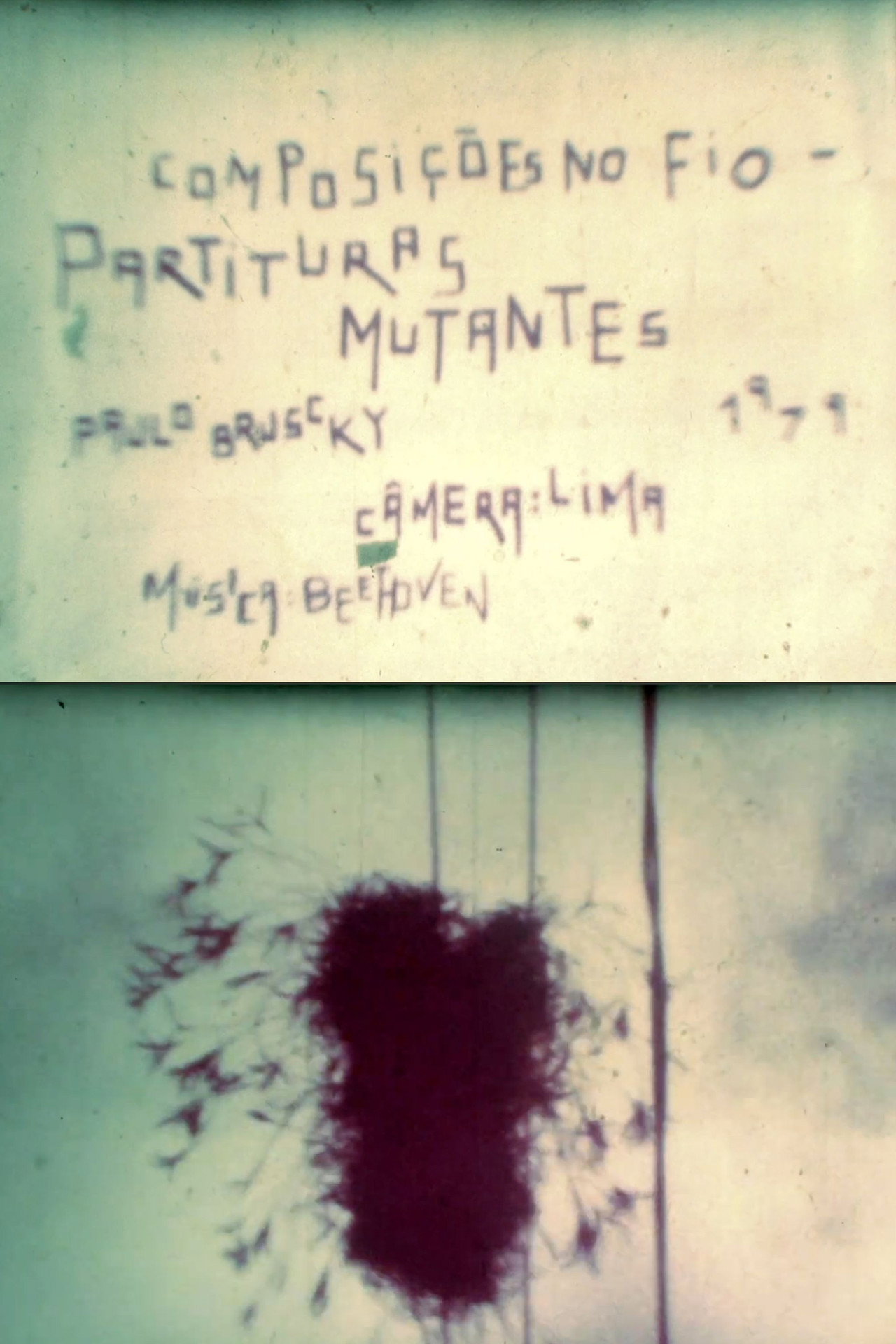 Composições no Fio - Partituras Mutantes