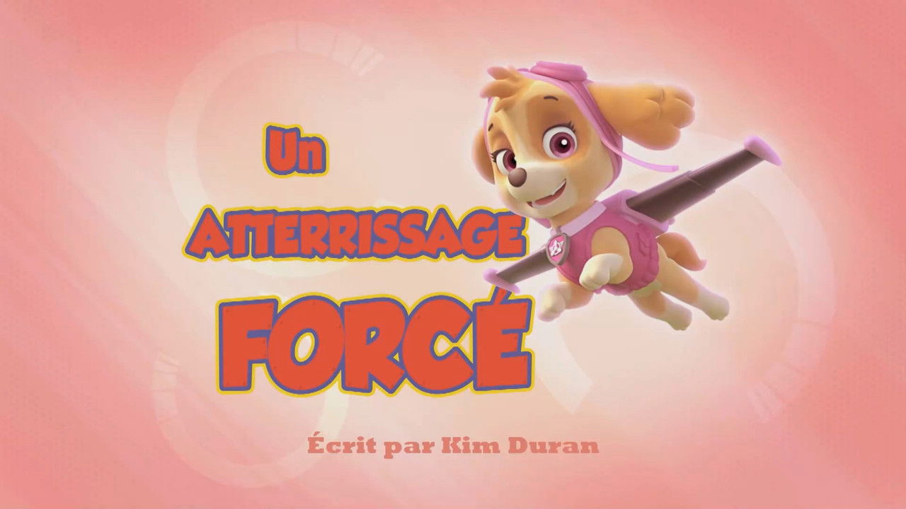 La Pat' Patrouille — Un Atterrissage forcé