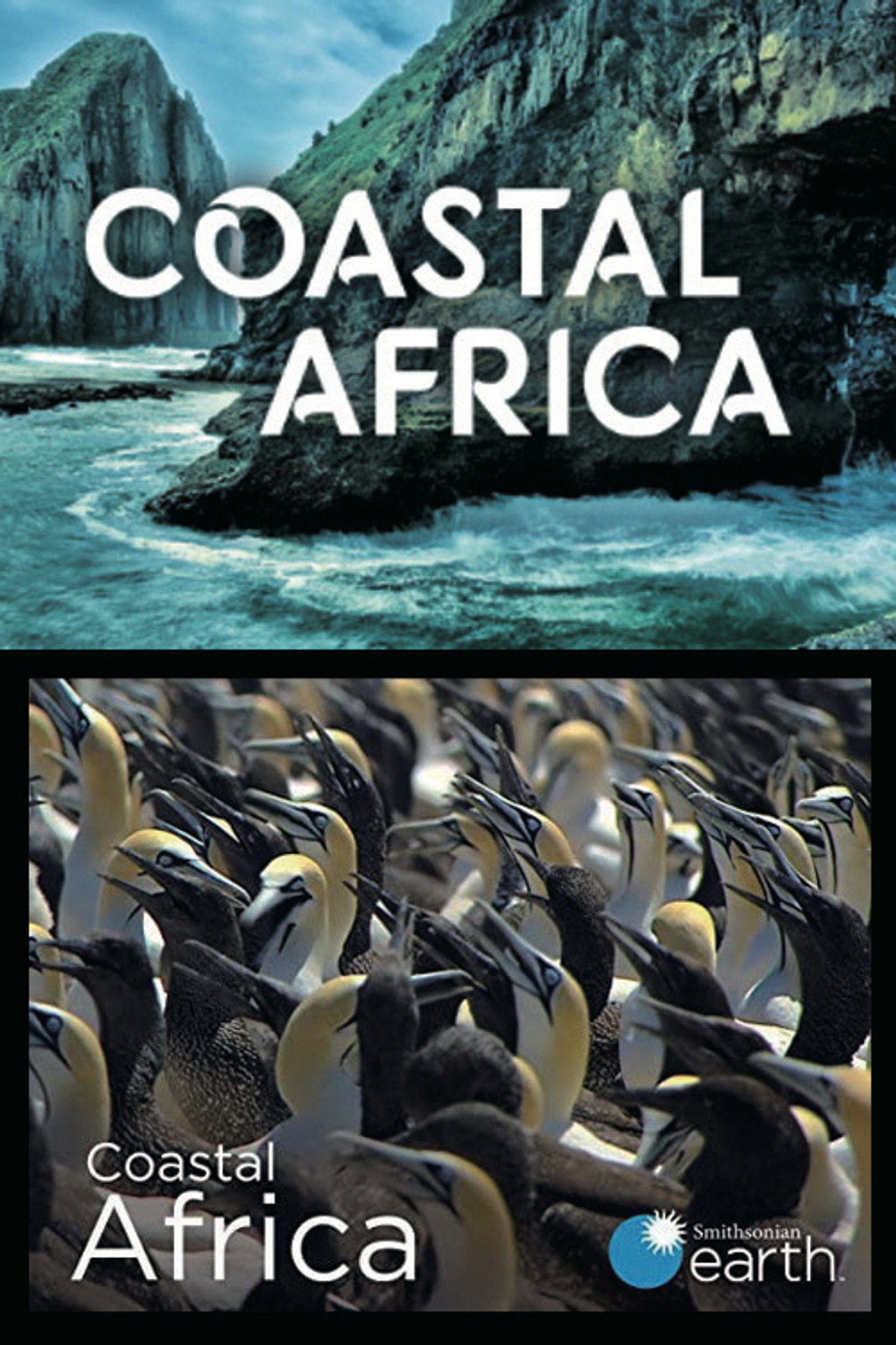 Afrika partvidékei – plakát 5