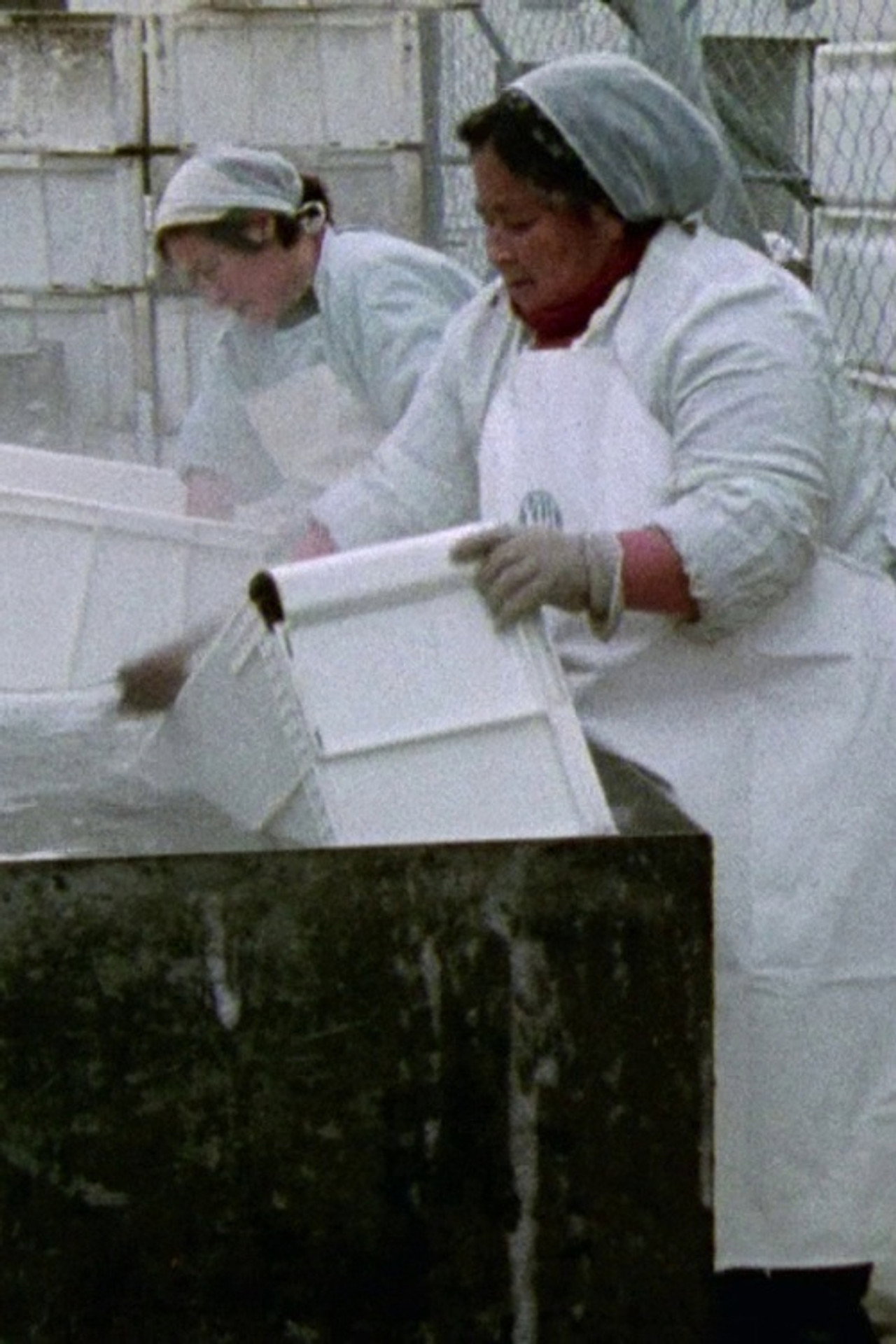Women Workers in Greenland