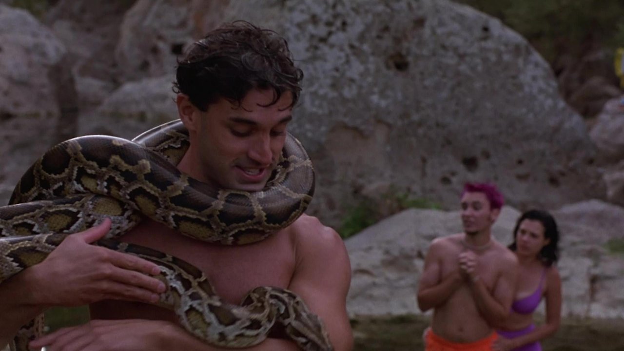 Python (2000)