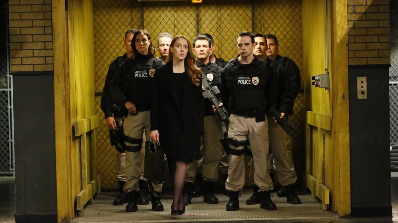 The Blacklist - Season 6 Episode 21 : Anna McMahon