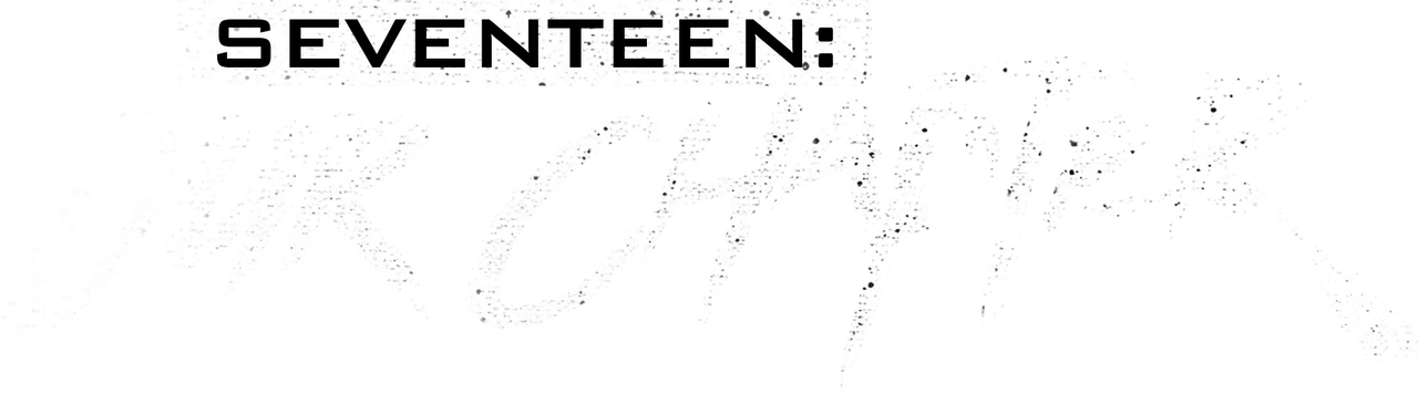 SEVENTEEN: OUR CHAPTER