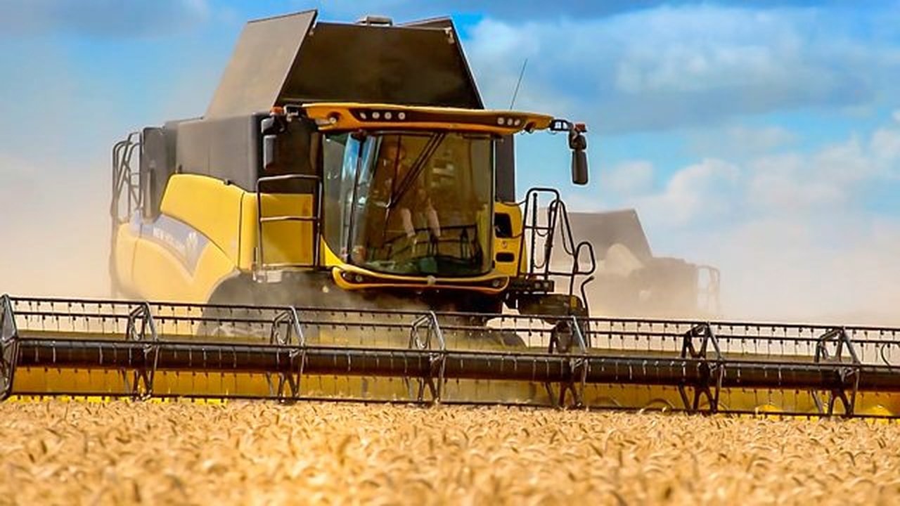 Harvest