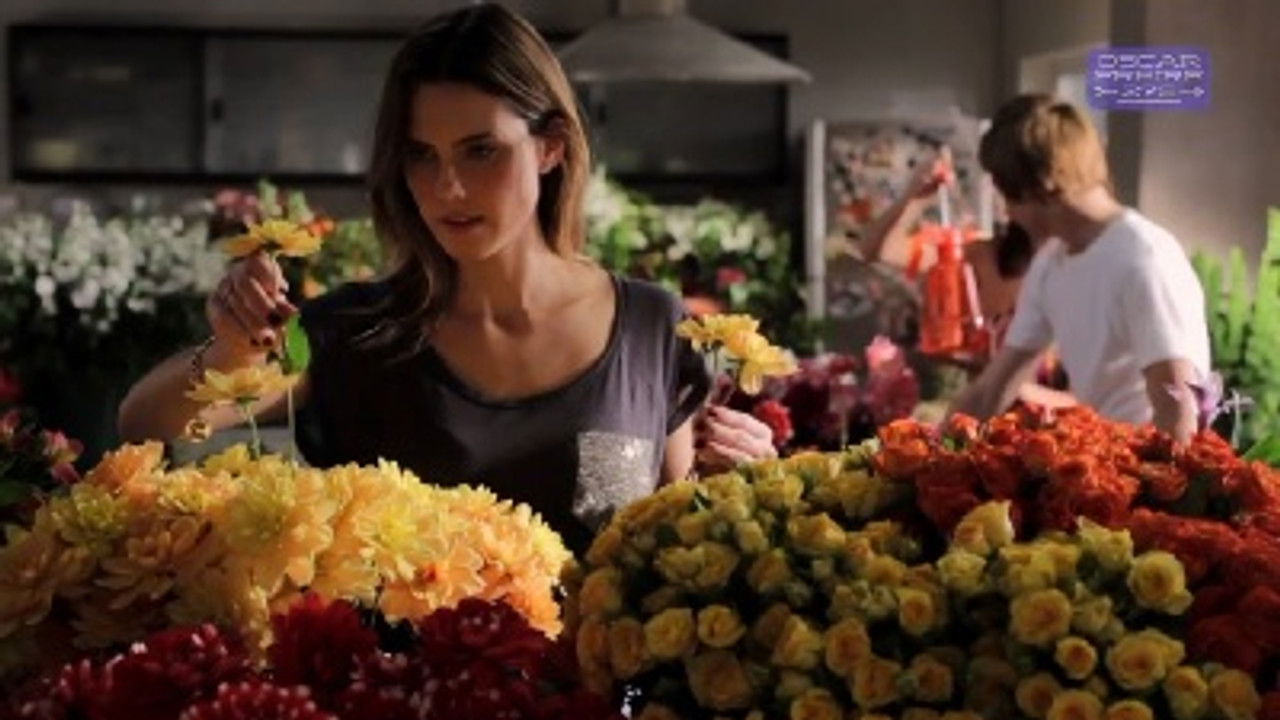 Oscar Freire 279 — Épisode 15