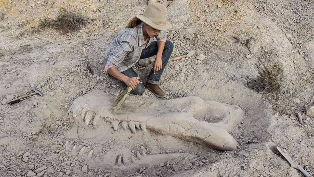 Cast and Crew of Valley of Bones