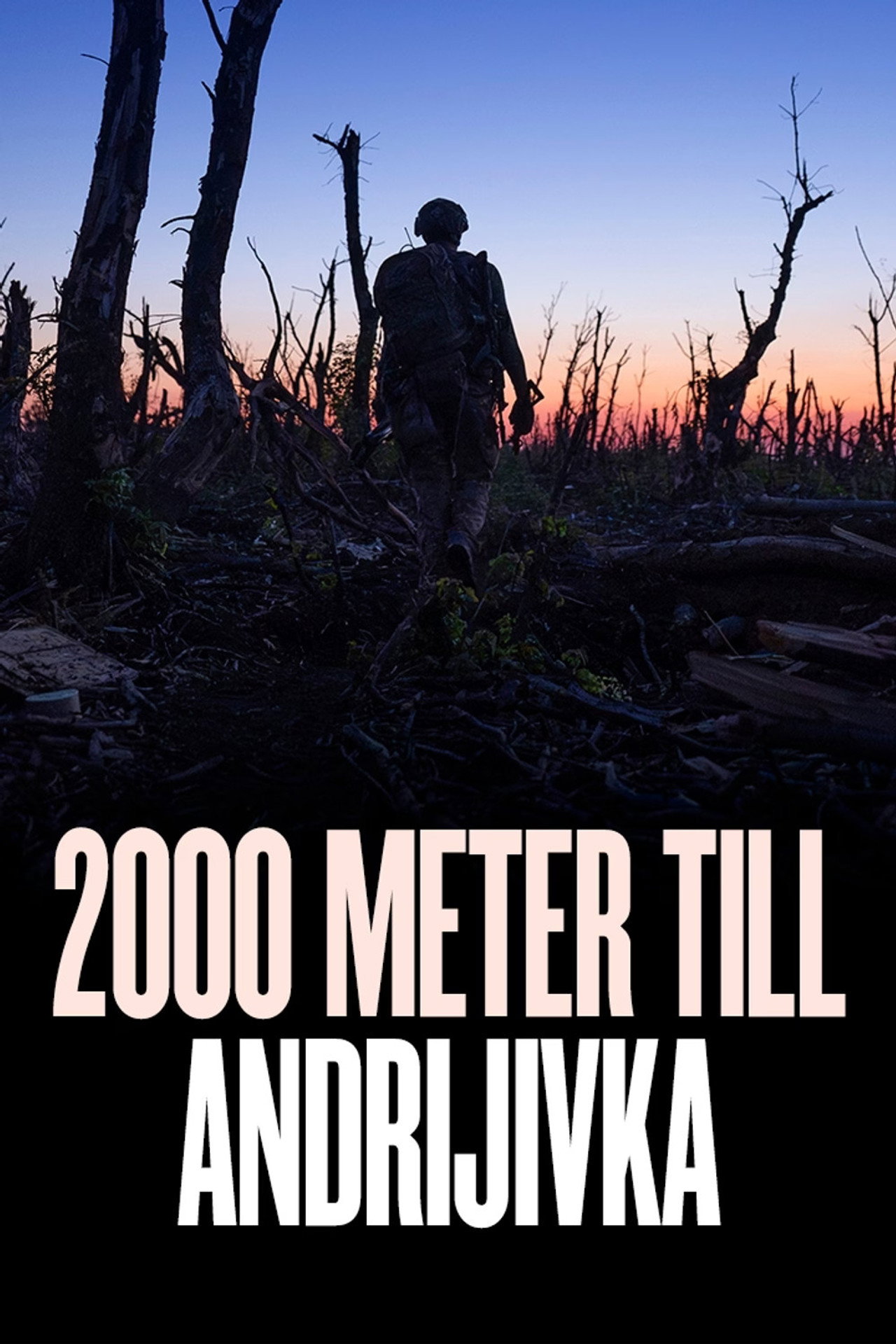 2000 meter till Andrijivka filmaffisch