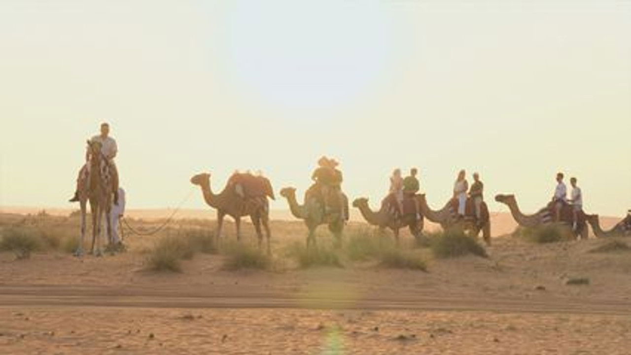 Telefacts Zomer — Épisode 21