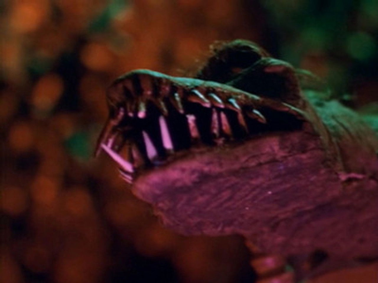 Swamp Thing — Épisode 7