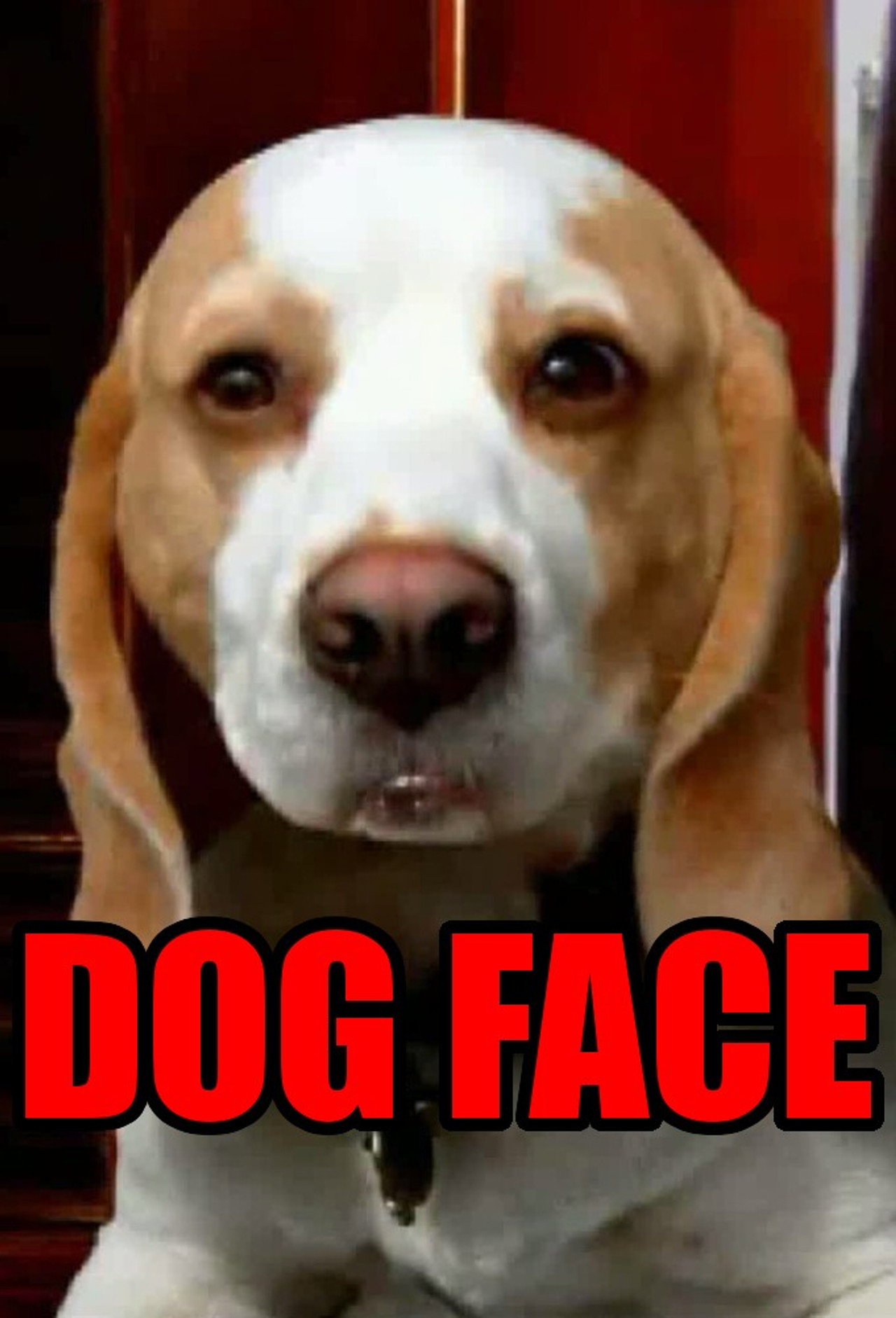 Dogface